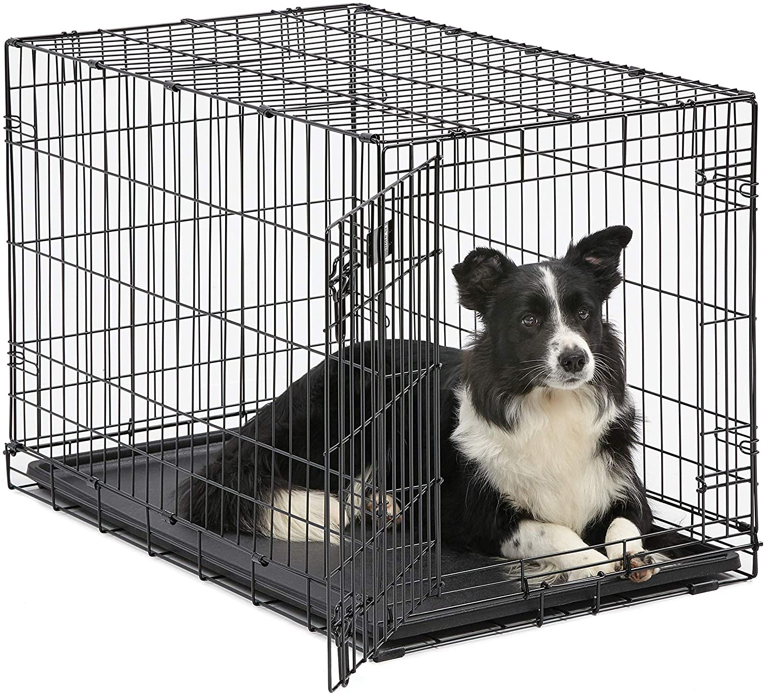 Photo 1 of MidWest Homes for Pets Dog Crate  iCrate Single Door  Double Door Folding Metal Dog Crates  Fully Equipped