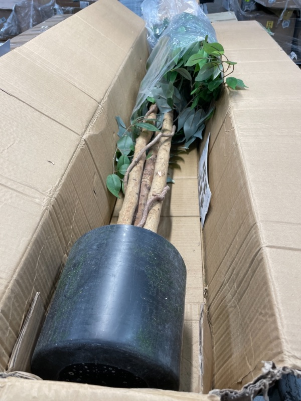 Photo 1 of Deluxe 6 Feet Tall FICUS Silk Leaf Artificial Tree  8 Base  12 Plant Pot Skirt 18 Feet of Vine Adorn Wide Real Trunks with Green Leaves Allowing Maintenance Free inDoor and Outdoor Use
