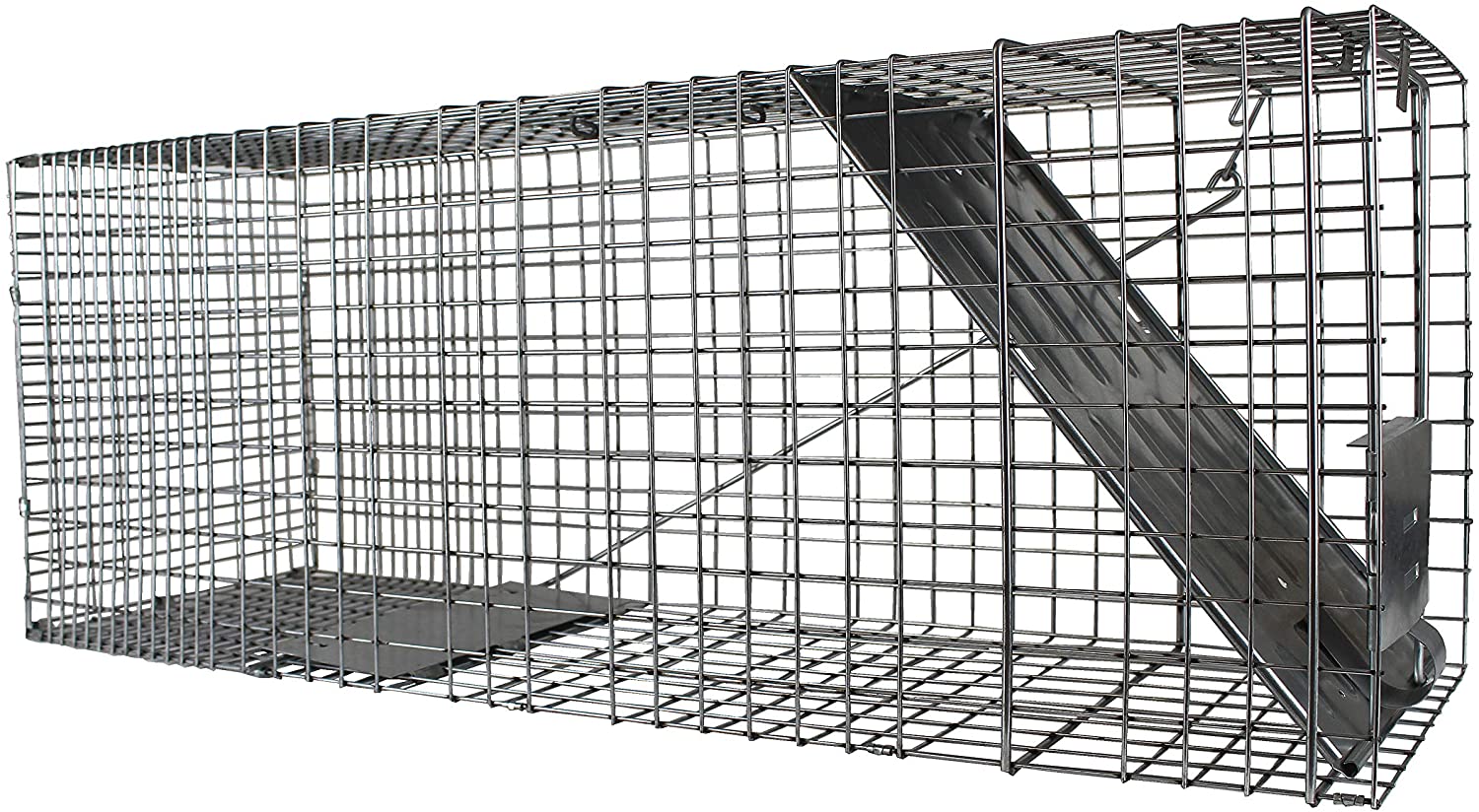 Photo 1 of Havahart 1079  1Door Humane Animal Trap for Raccoons Cats Groundhogs Opossums