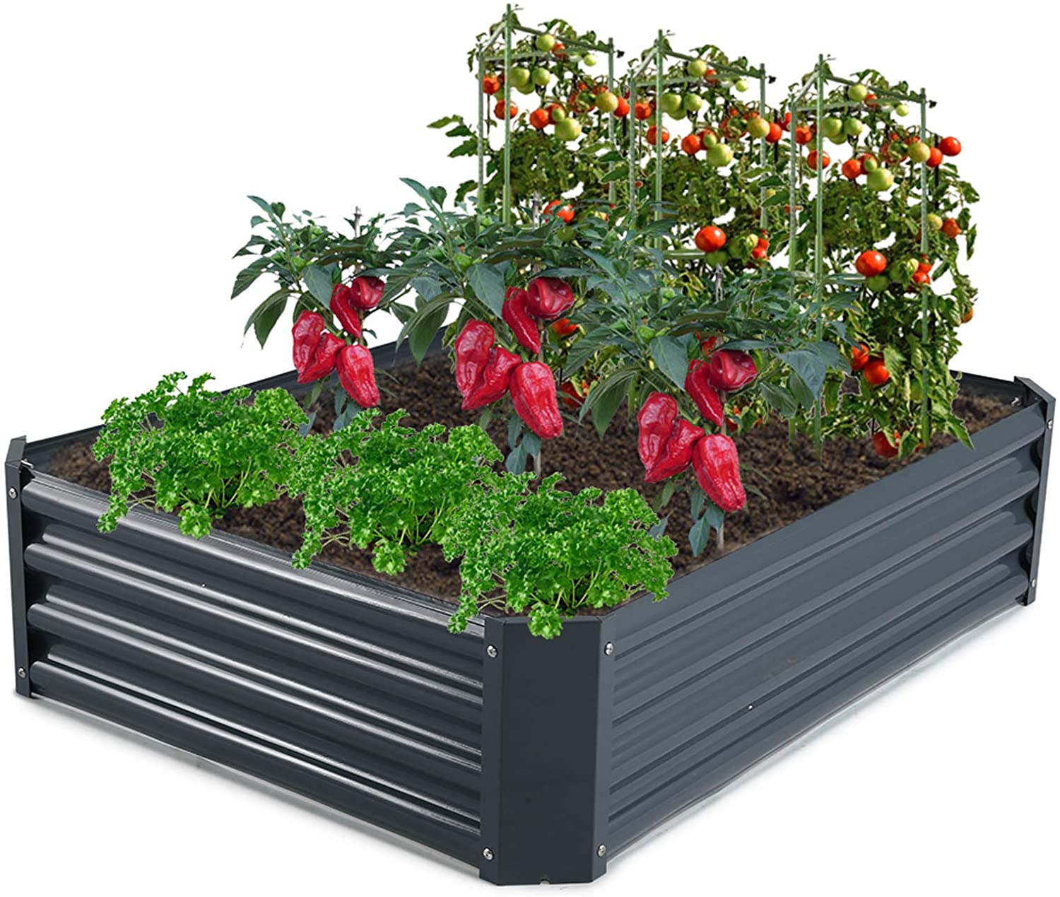 Photo 1 of GROWNEER 4 x 3 x 1 Feet Dark Gray Metal Raised Garden Bed with 4 Pcs Garden Stakes 1 Pair of Gloves and 15 Pcs Plant Labels Elevated Planter Box for Vegetables Fruits Flowers Herbs