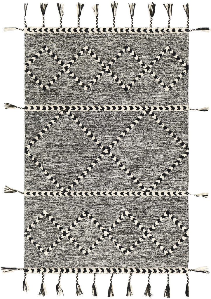 Photo 1 of Surya Zanafi Tassels 8 X 10 Rectangle Area Rugs ZTS2302810