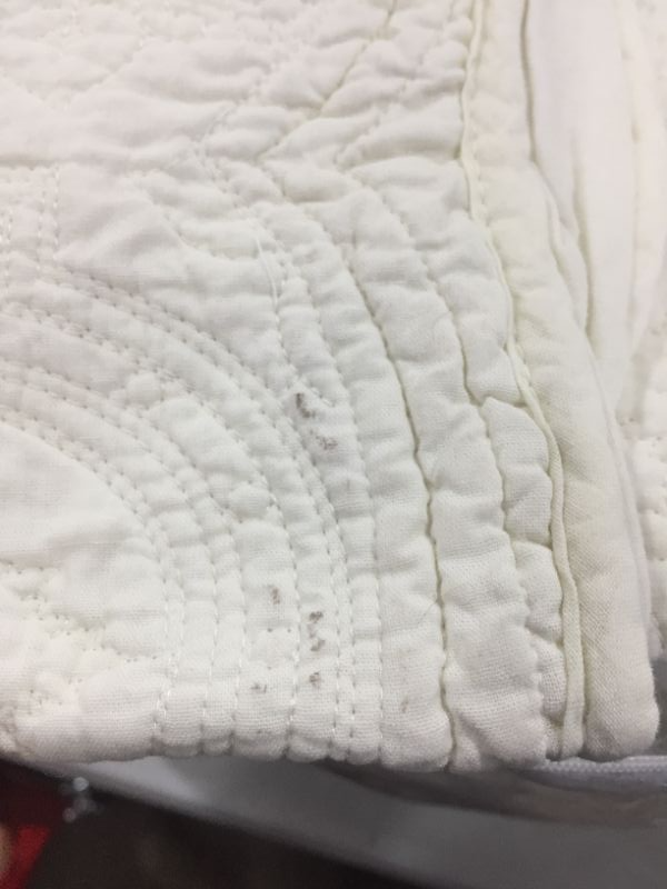 Photo 3 of Cozy Line Home Fashions Victorian Medallion Solid White Matelasse Embossed 100  Cotton Bedding Quilt SetReversible Bedspread Coverlet Blantyre  White Queen  3 Piece