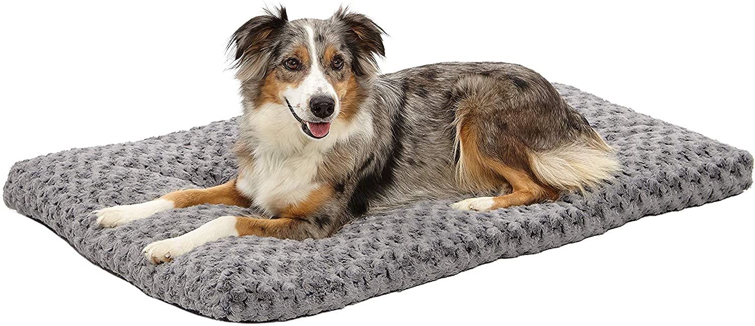 Photo 1 of MidWest Homes for Pets Plush Dog Bed  Coco Chic Dog Bed  Cat Bed