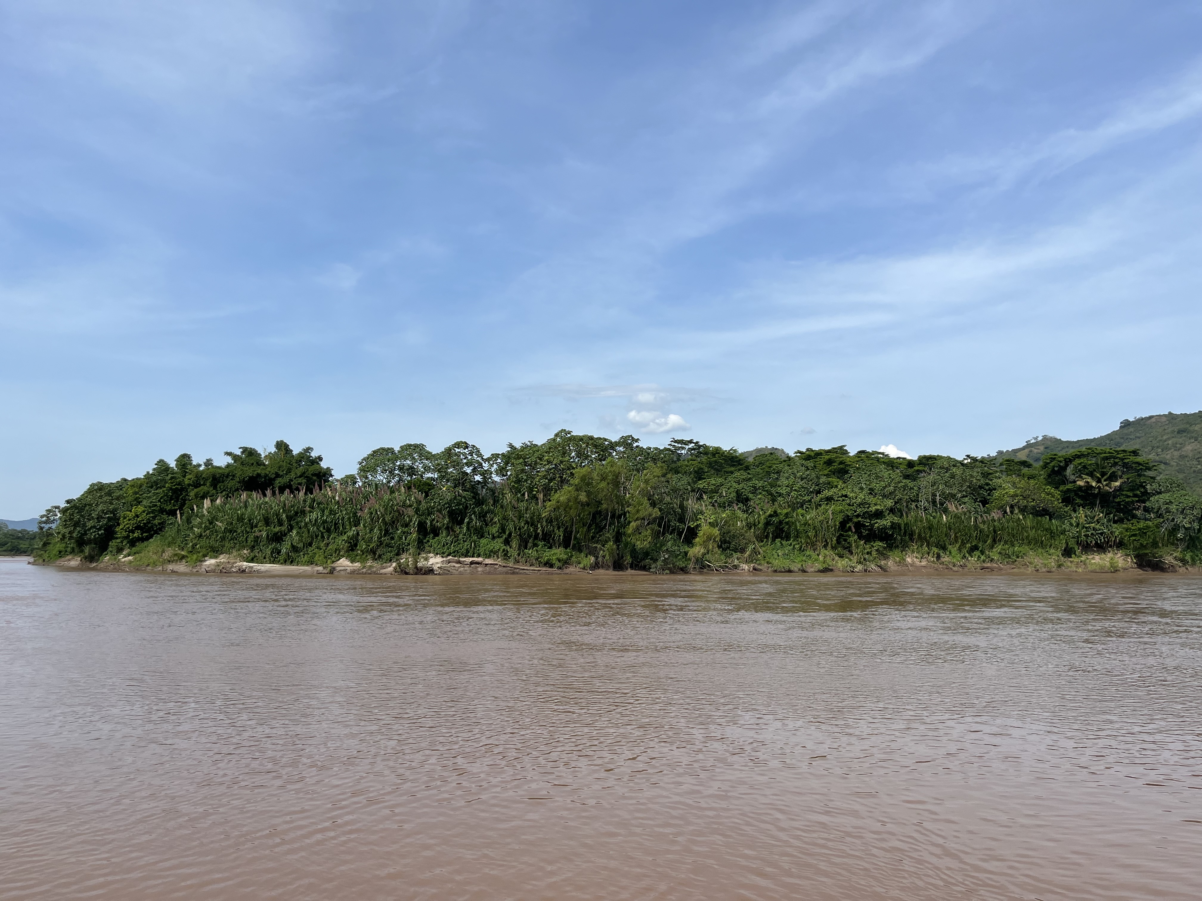 Isla productiva de 4 hectarias en medio del rio huallaga - Imagen 5