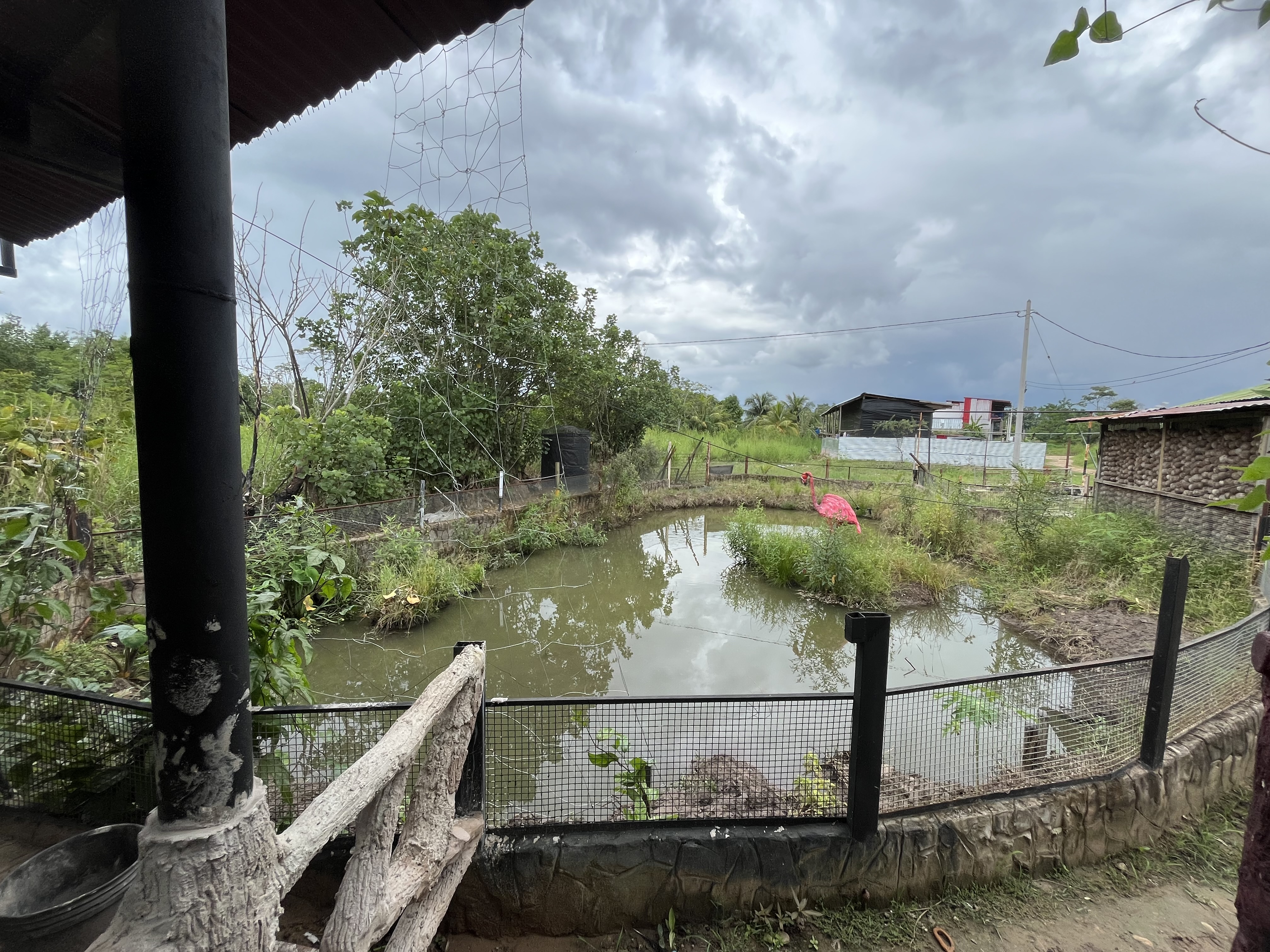 Recreo turistico - Imagen 4