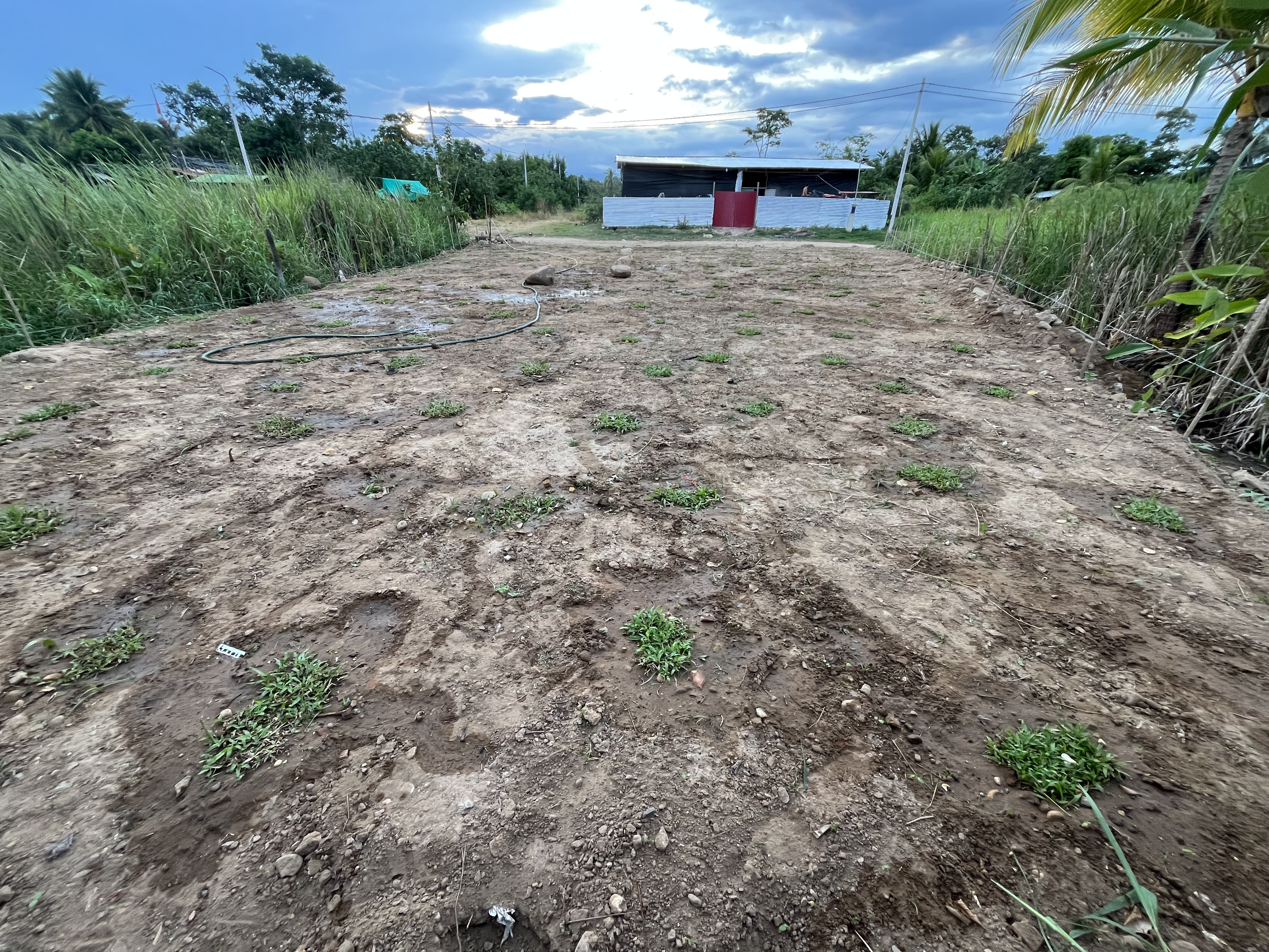 Terreno urbano de 300 m² en tarapoto - Zona en crecimiento - Imagen 2
