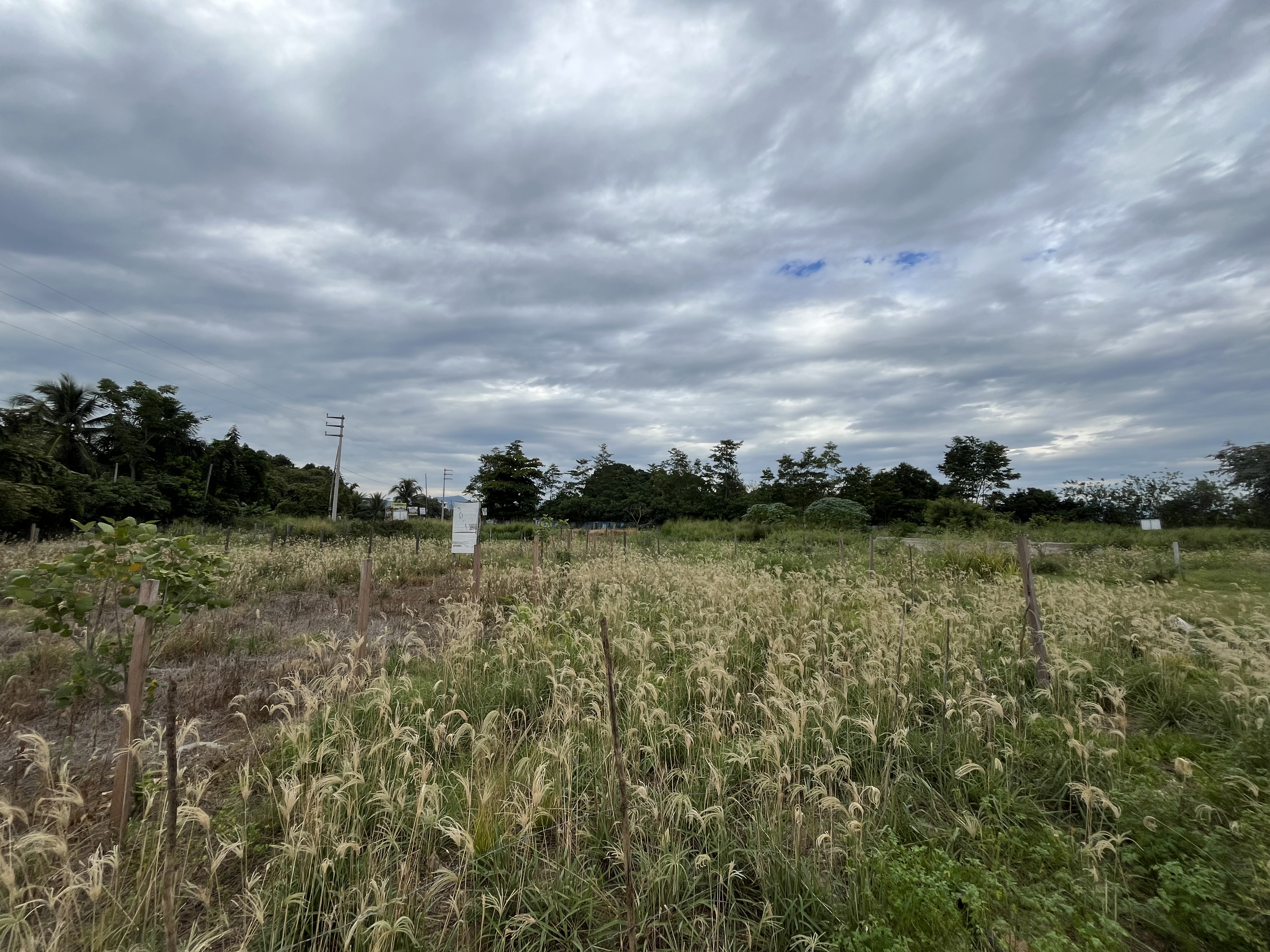Terreno perfecto para negocio, zona en crecimiento. - Imagen 2