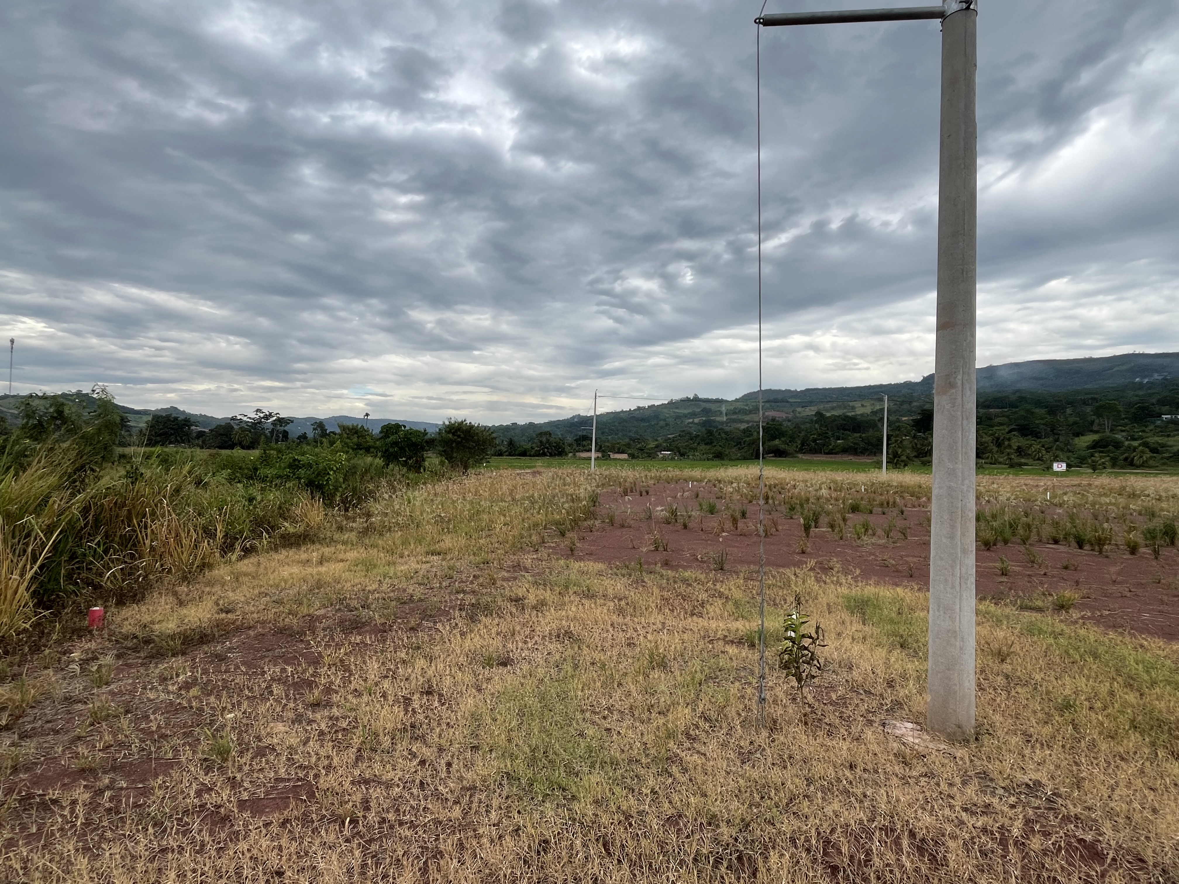 Terreno de 241.86m² para negocio. - Imagen 2