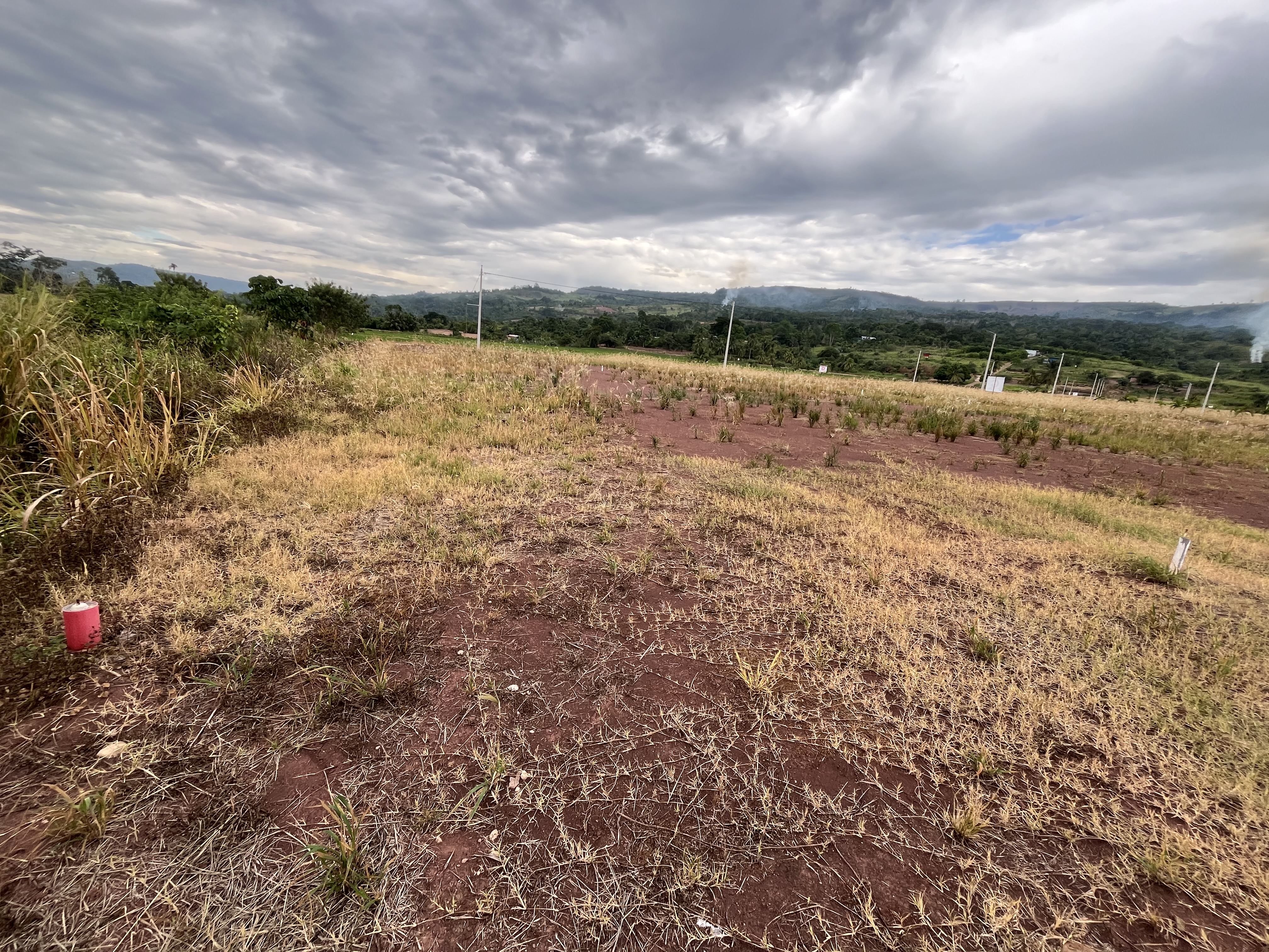 Terreno de 241.86m² para negocio. - Imagen 3