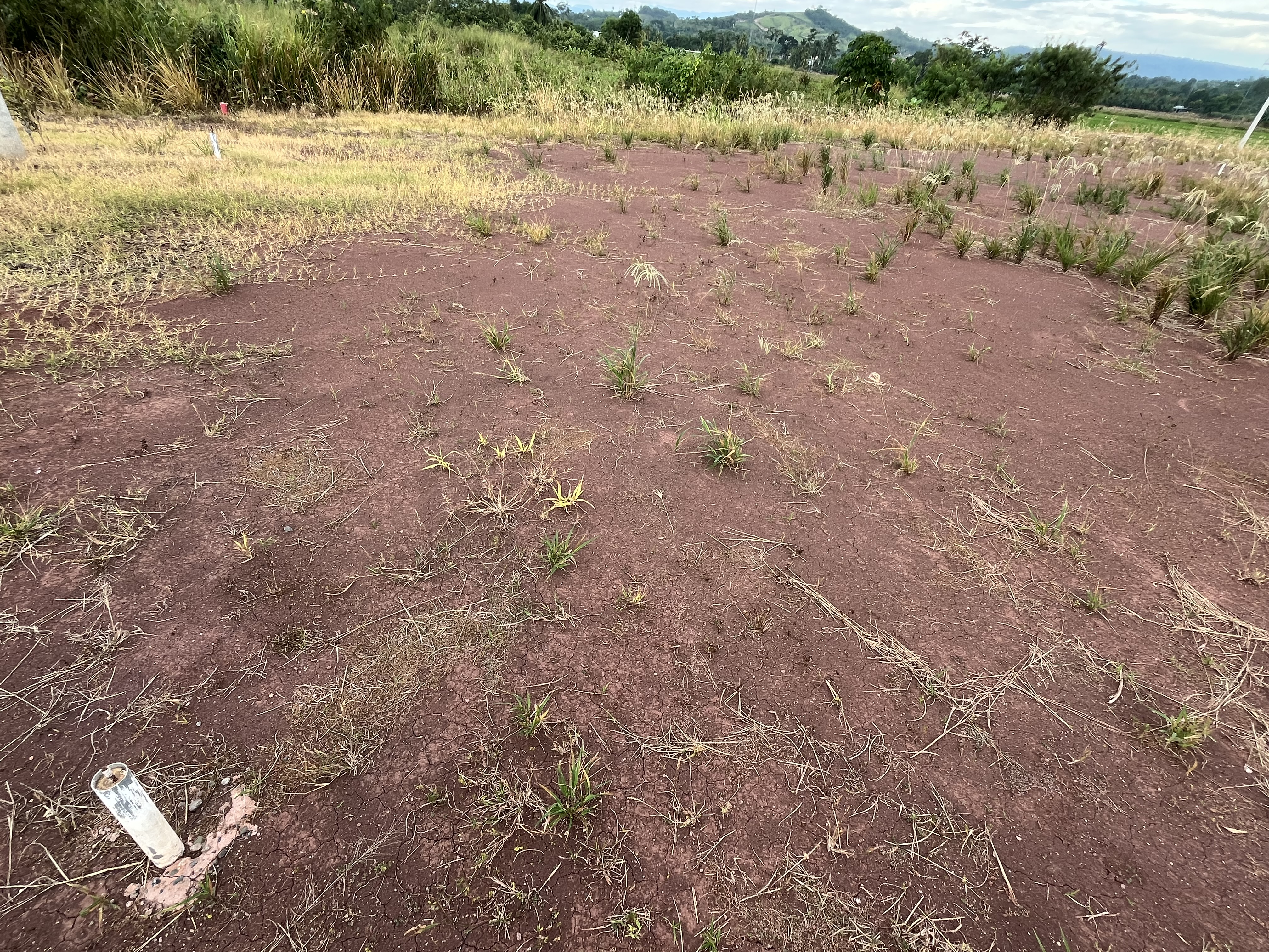 Terreno de 8x25 con 200m² ideal para alquiler. - Imagen 6