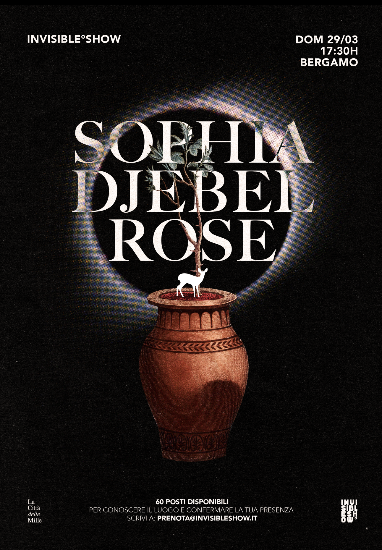 Sophia Djebel Rose