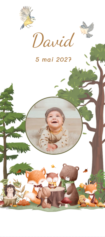 Forest Joy