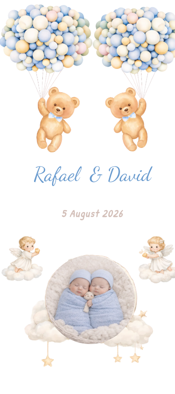 Teddy Twins Boys