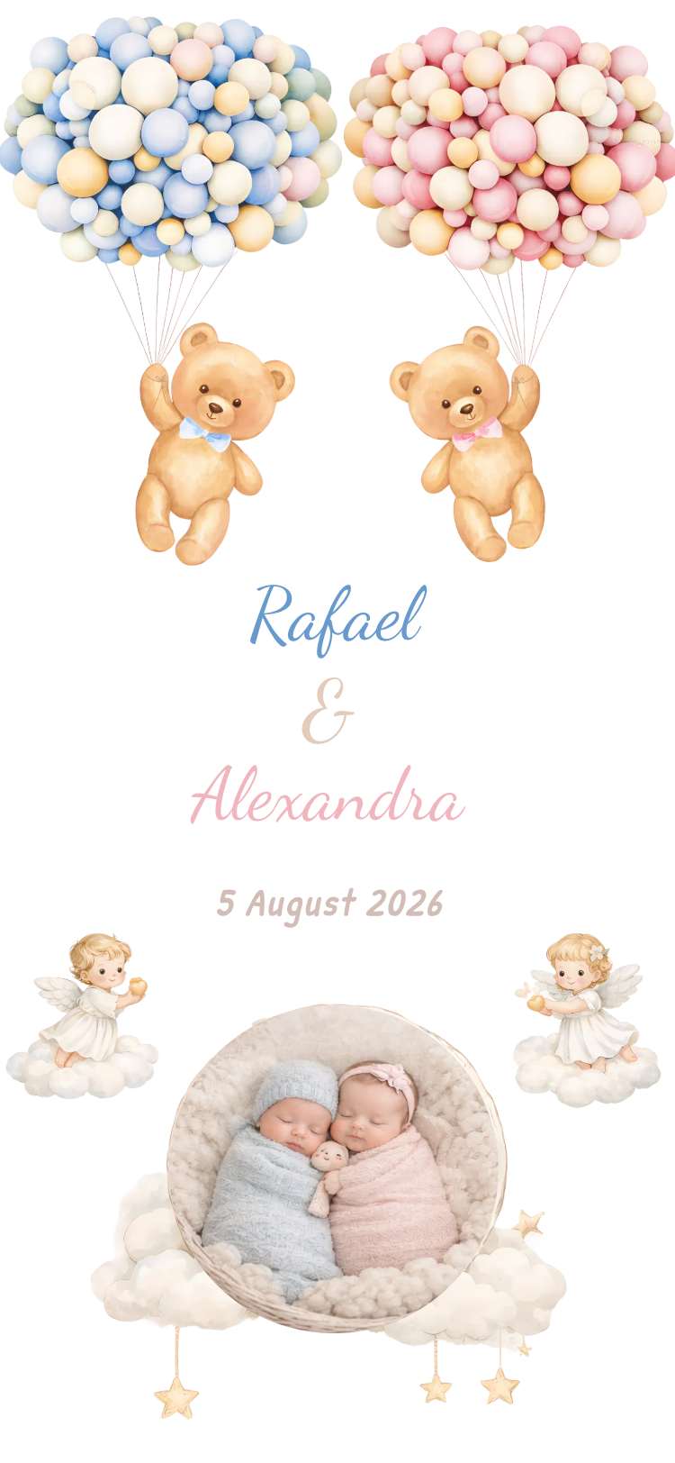 Teddy Twins