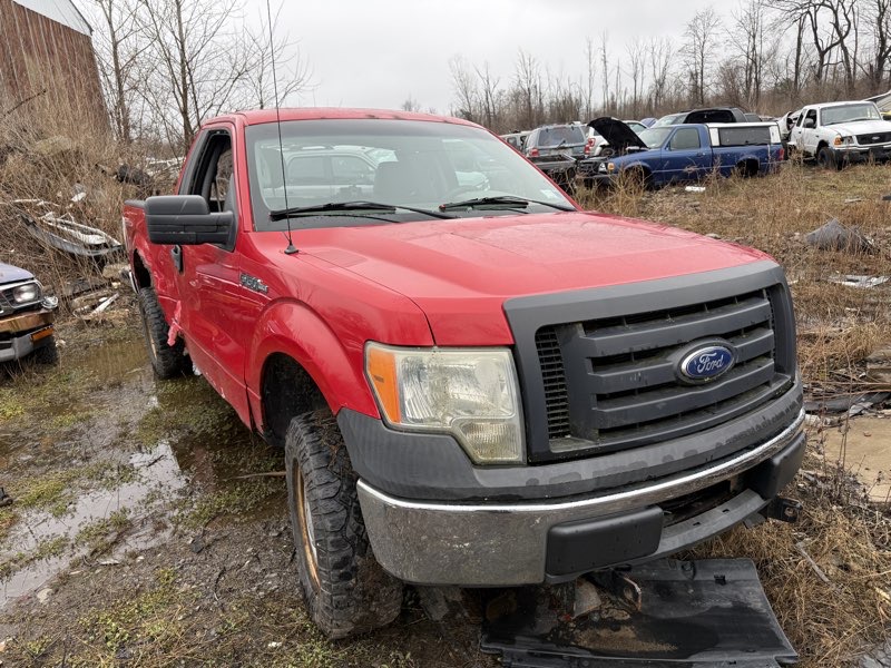2010 Ford F-150 — primary photo