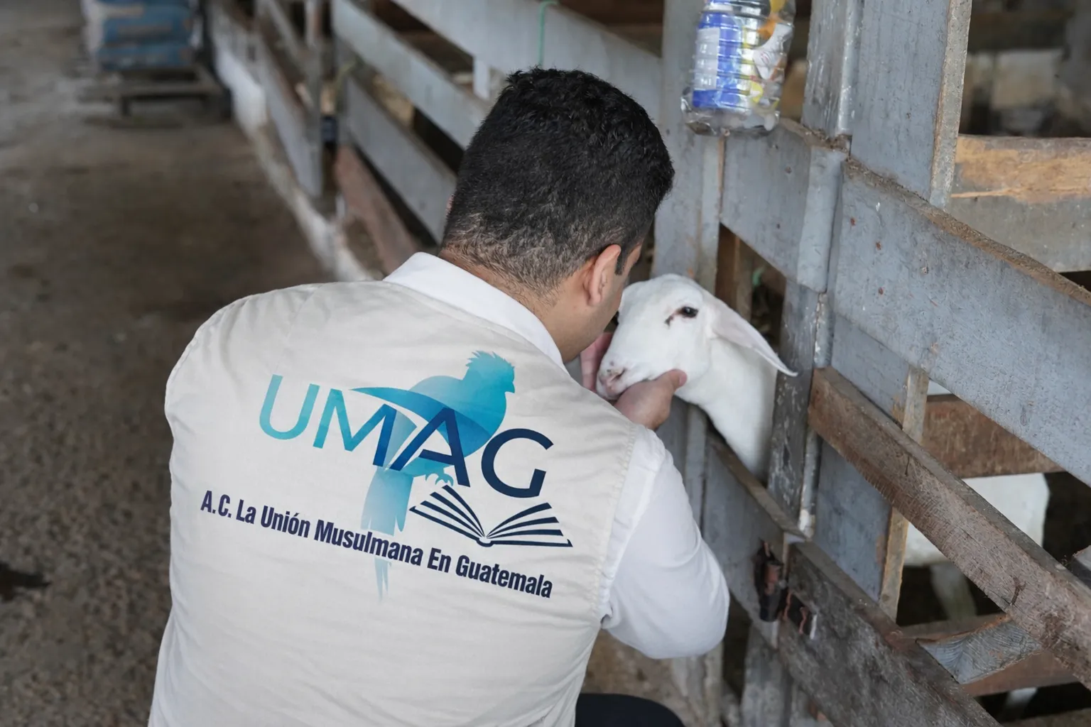 Obligatory Qurbani 2026 – UMAG Guatemala