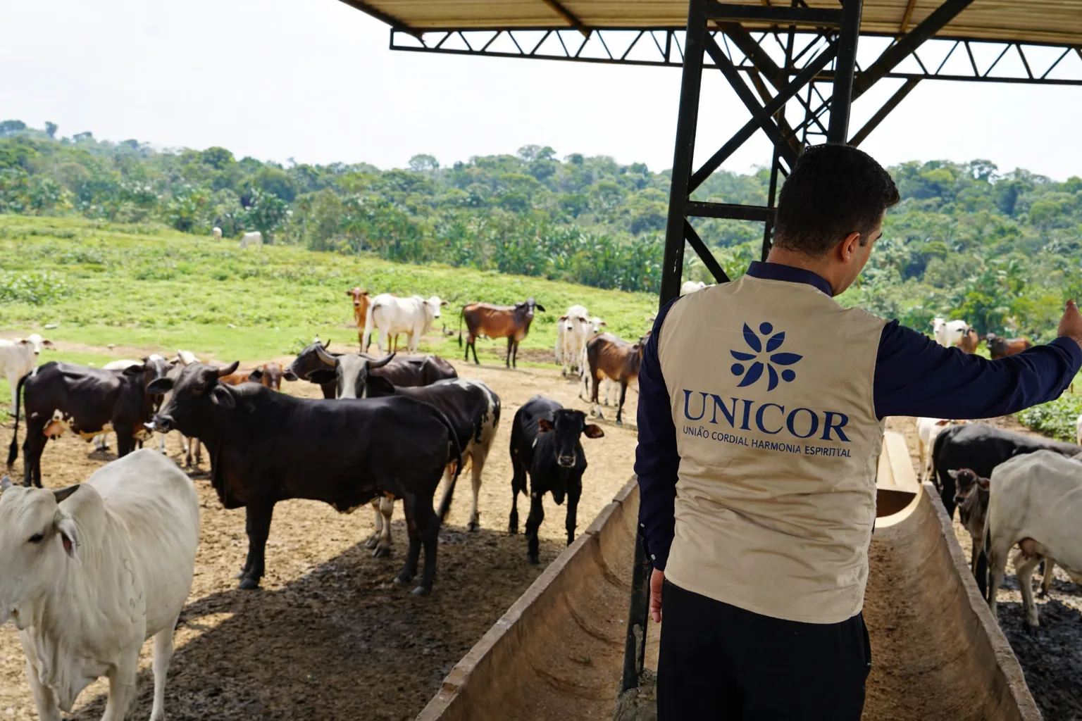 Qurban São Paulo 2026