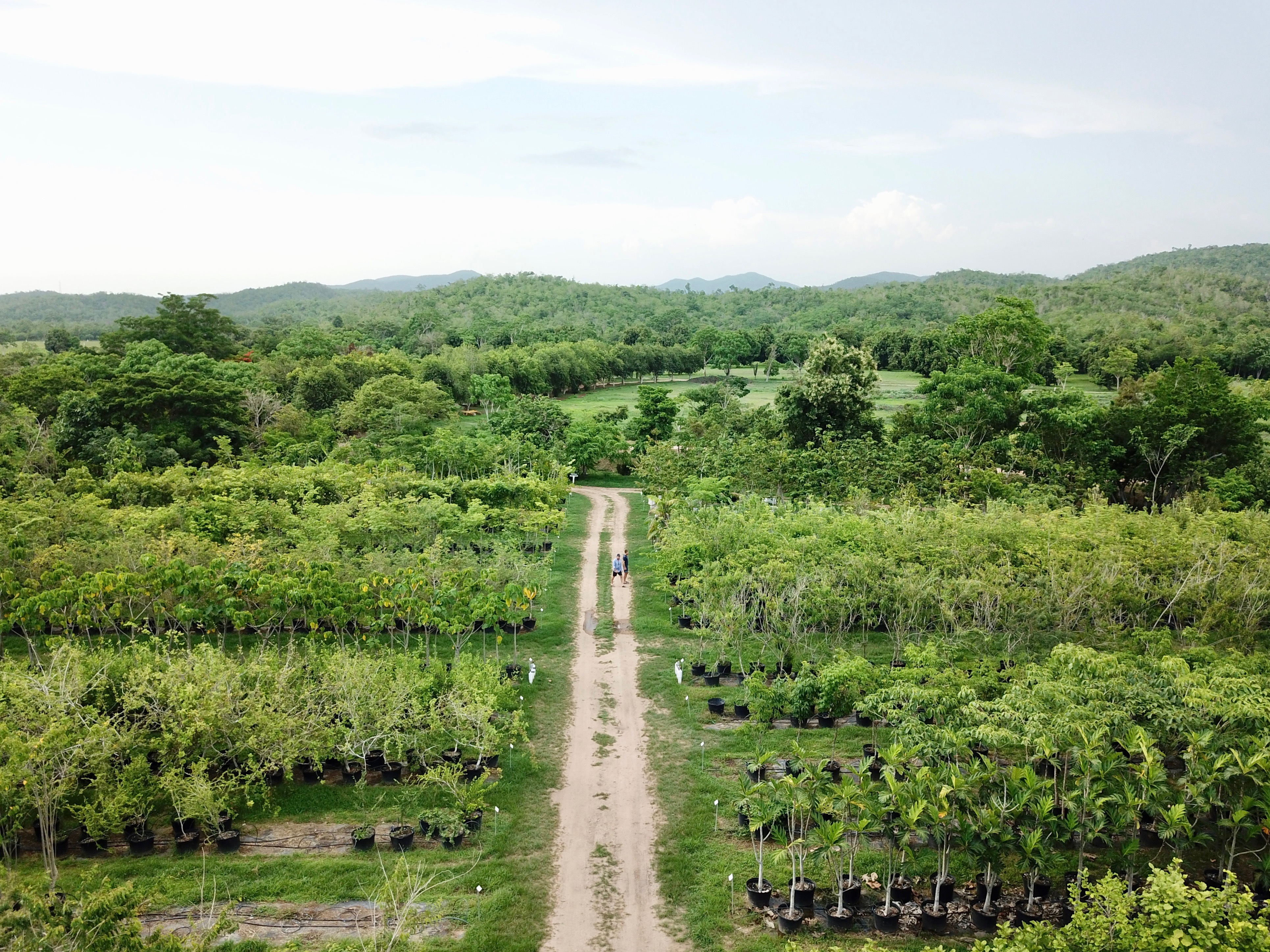 Zyanya Costa Alegre Nursery