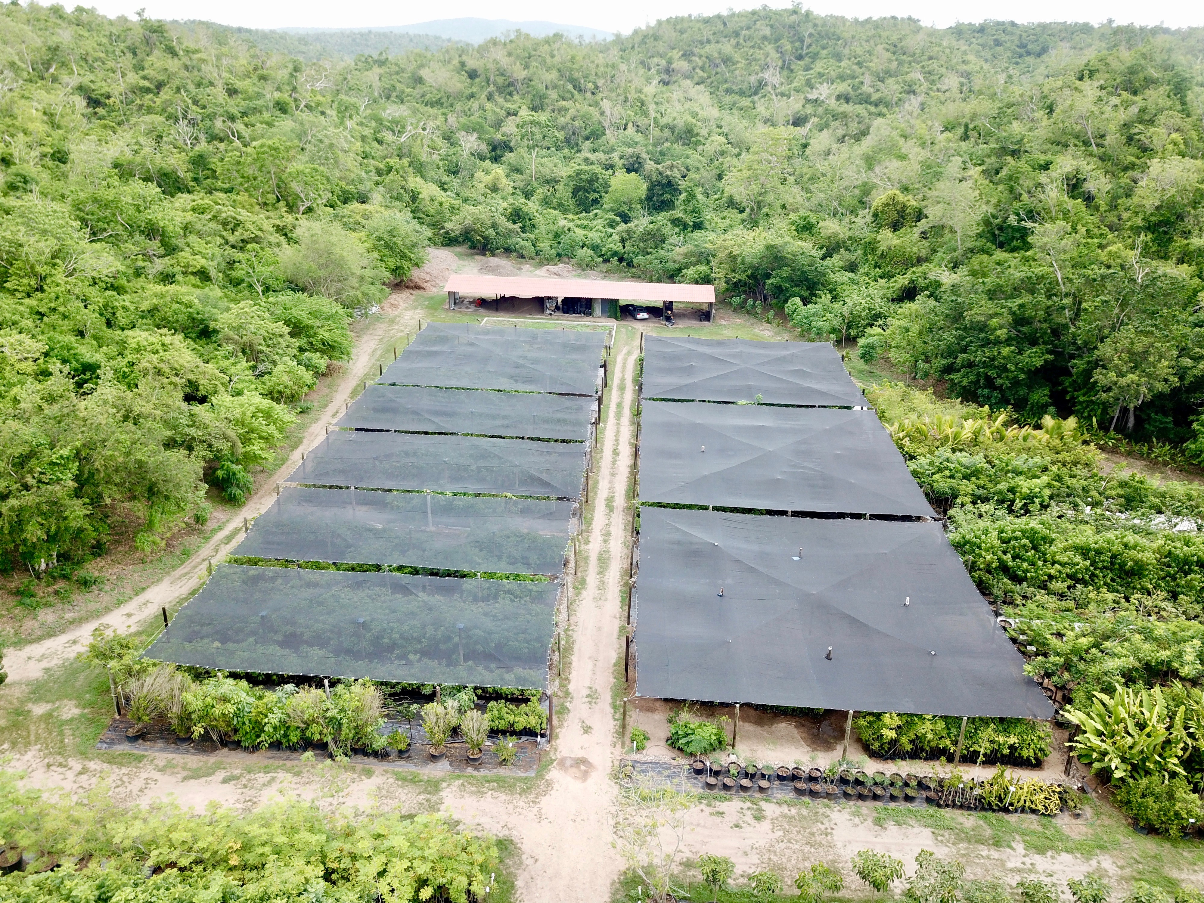 Zyanya Costa Alegre Nursery
