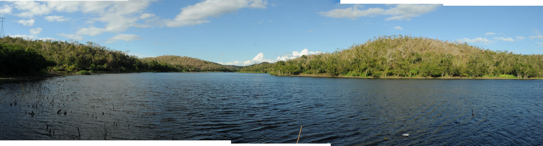 Zyanya Costa Alegre Laguna