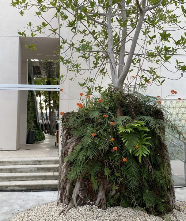 Miami Design District Landscape Masterplan