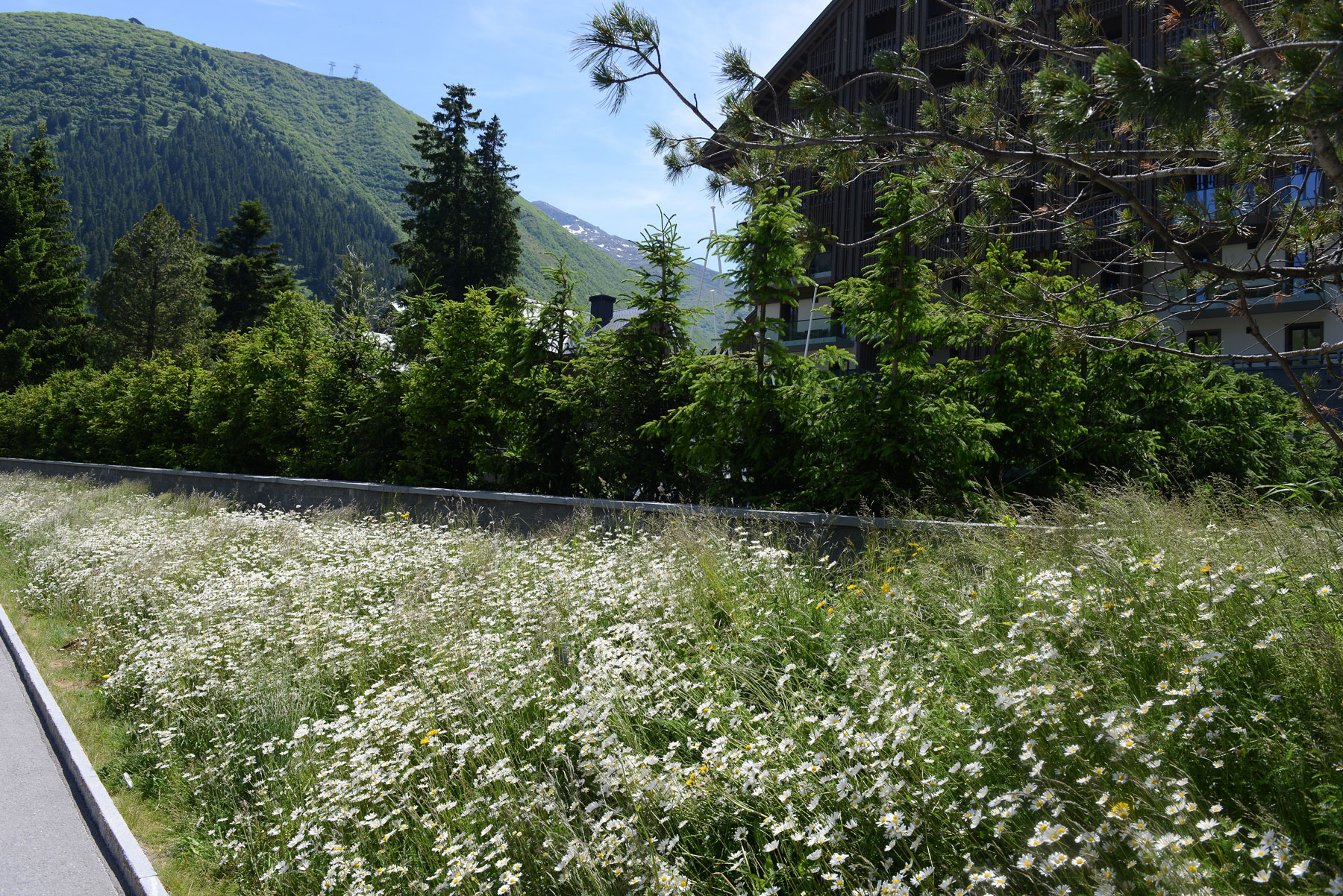 Chedi Andermatt