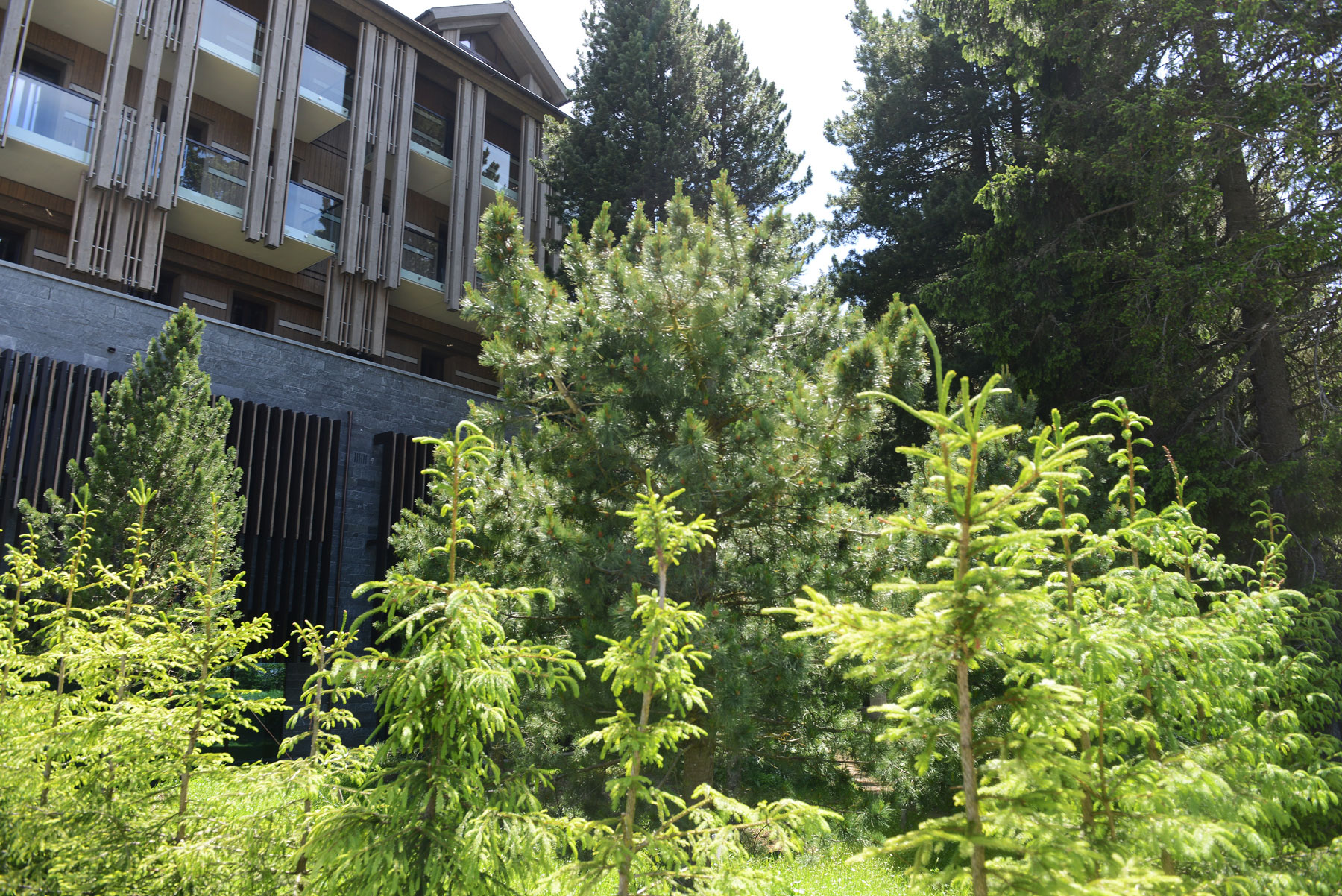 Chedi Andermatt