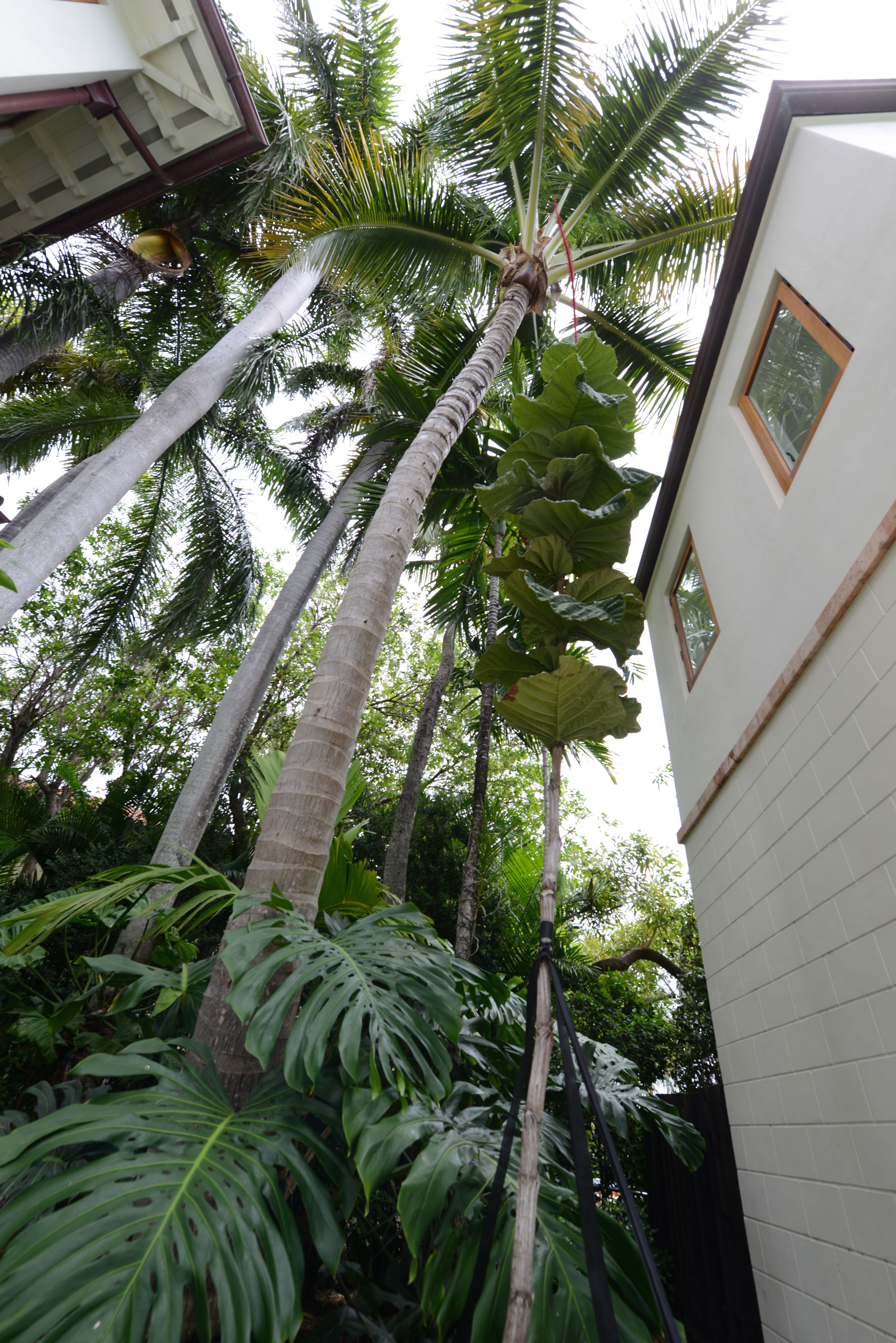 Soffer Robins Residence