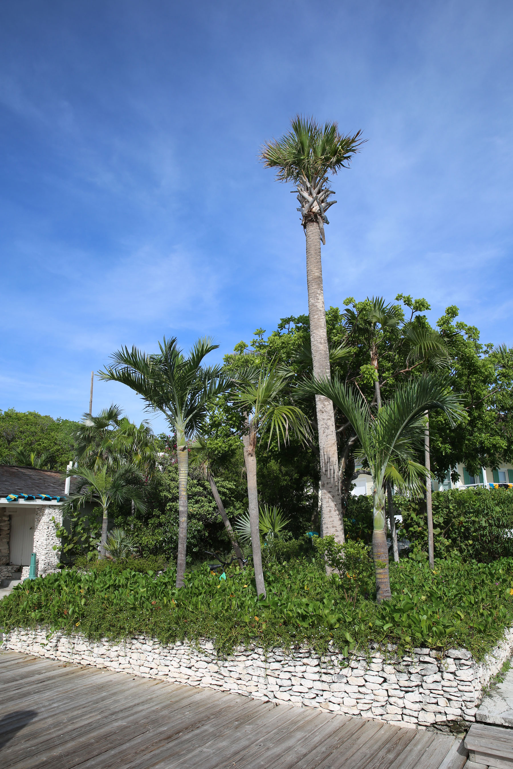 Highbourne Cay Marina & Guest Houses