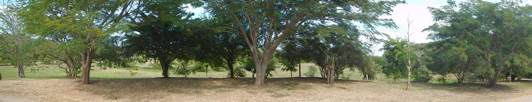 Zyanya Costa Alegre Botanical Park