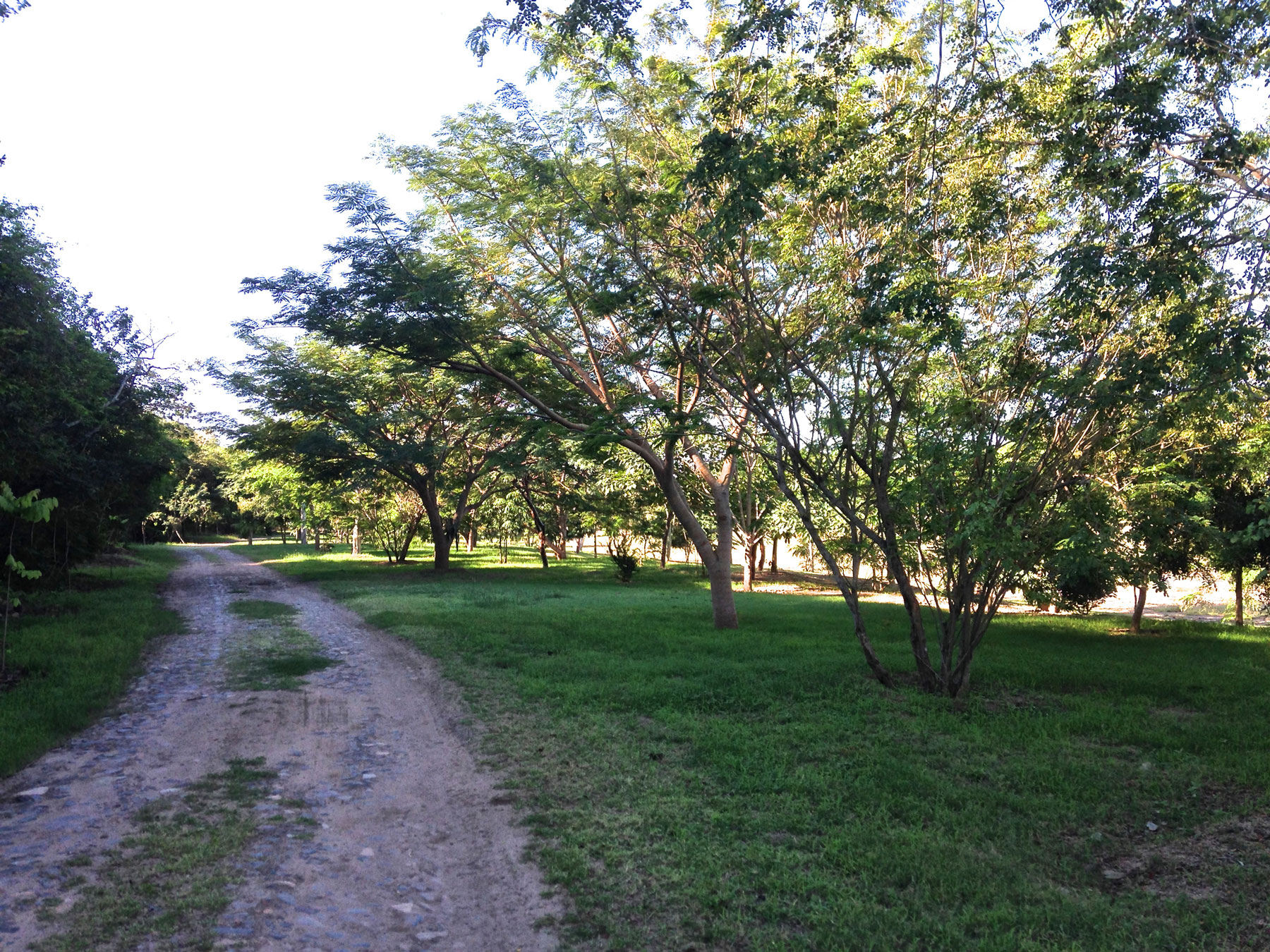Zyanya Costa Alegre Botanical Park