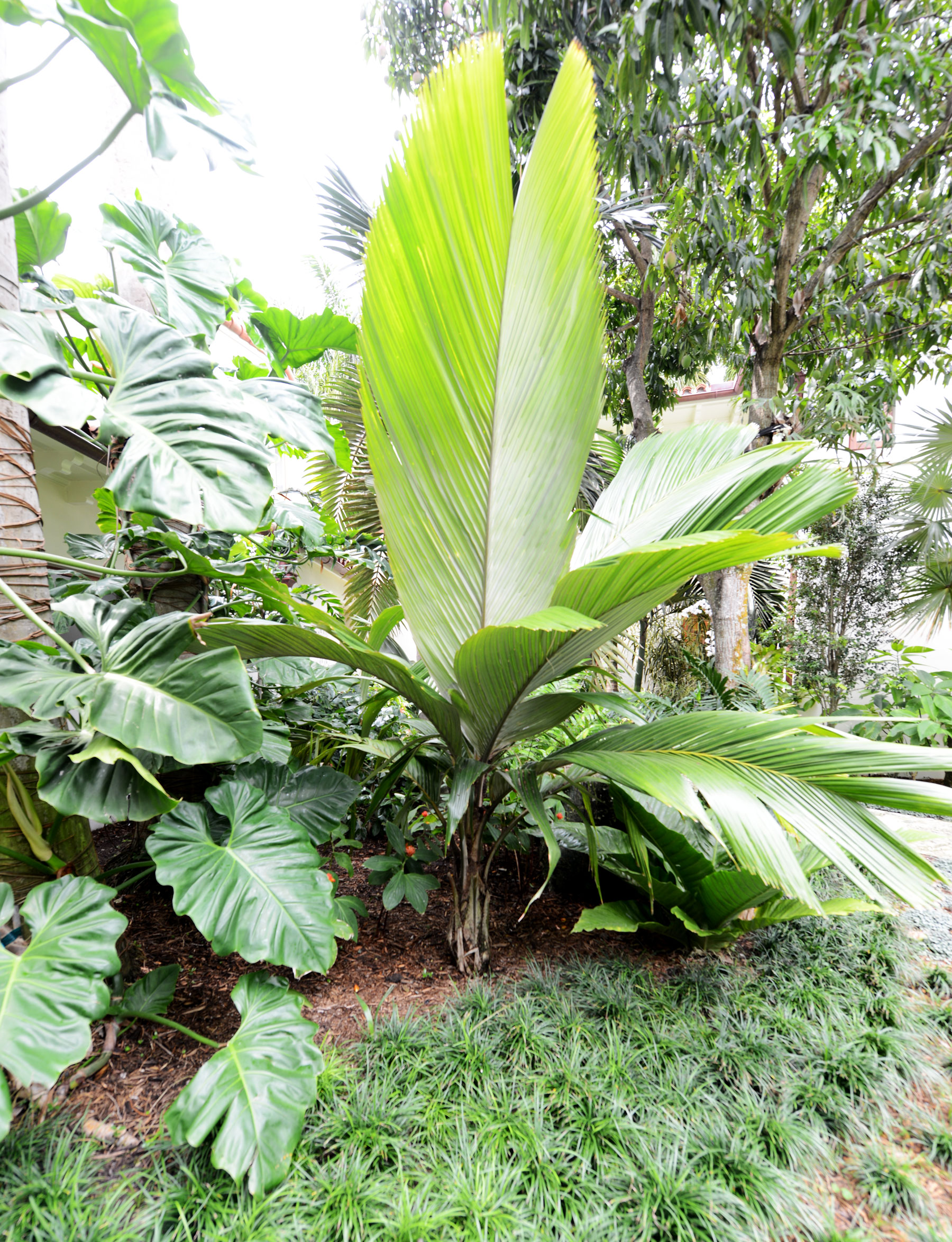 Soffer Robins Residence