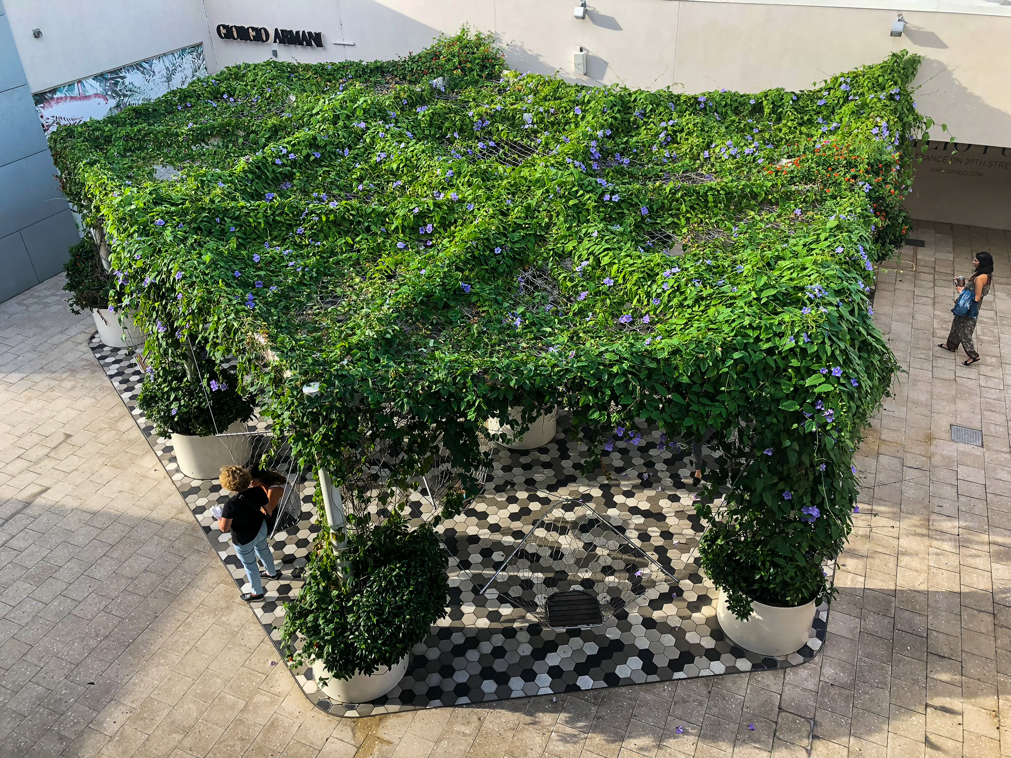 Netscape Miami Design District