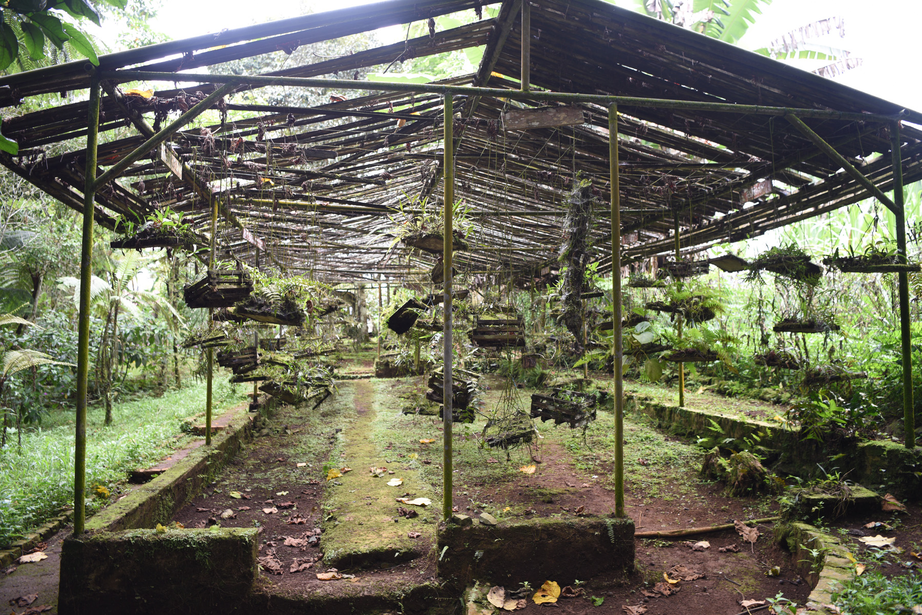 Sao Tomé