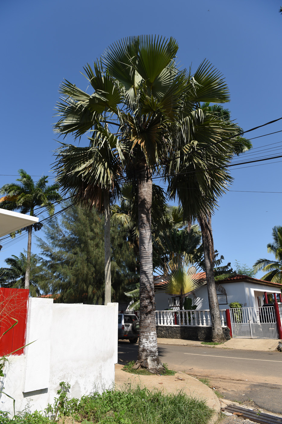 Sao Tomé