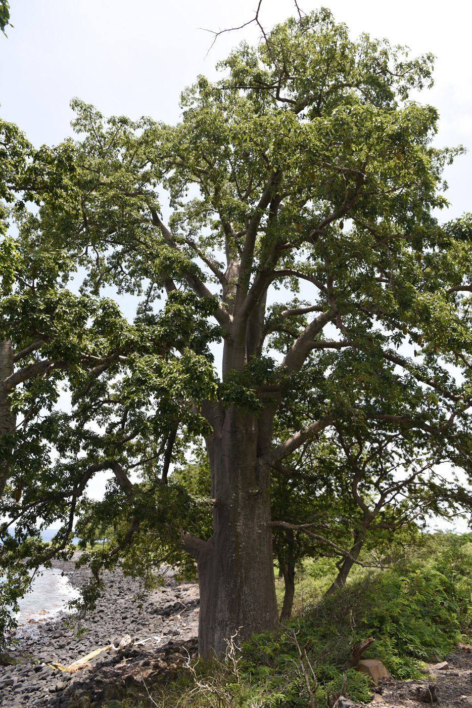 Sao Tomé