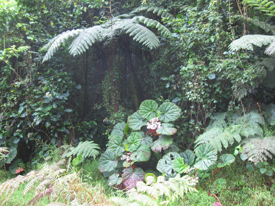 Sao Tomé