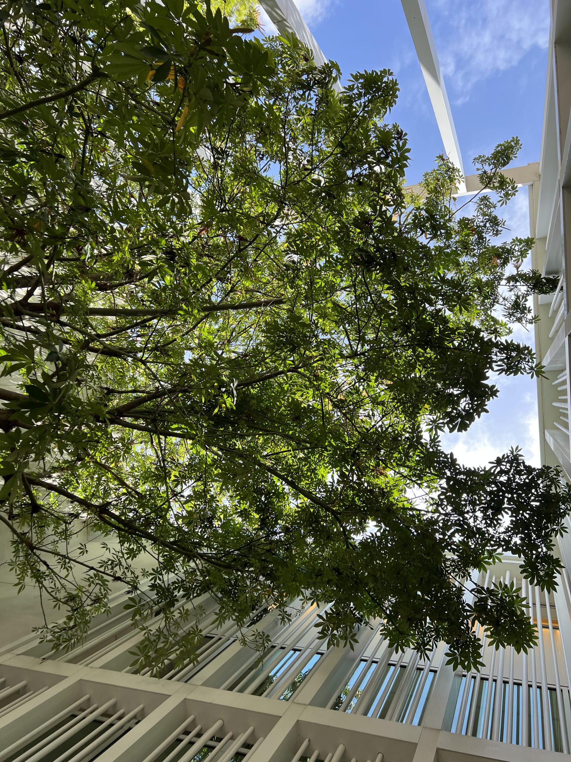 Hermés Miami Design District