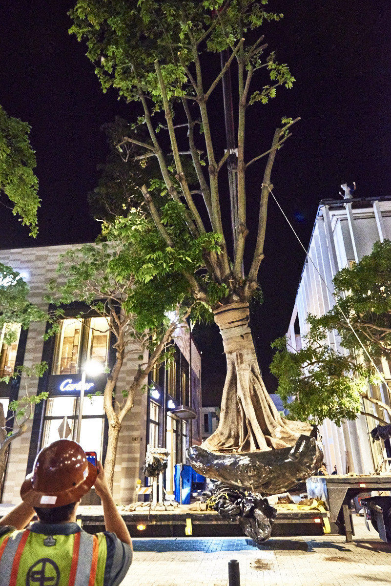 Hermés Miami Design District