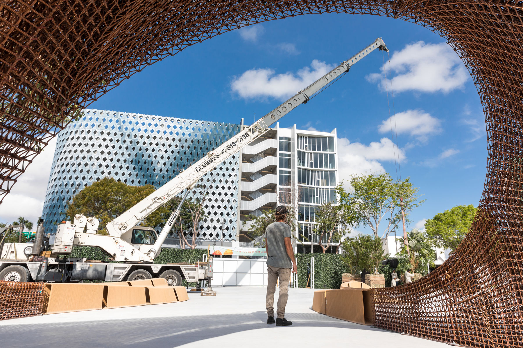 Jungle Plaza Miami Design District