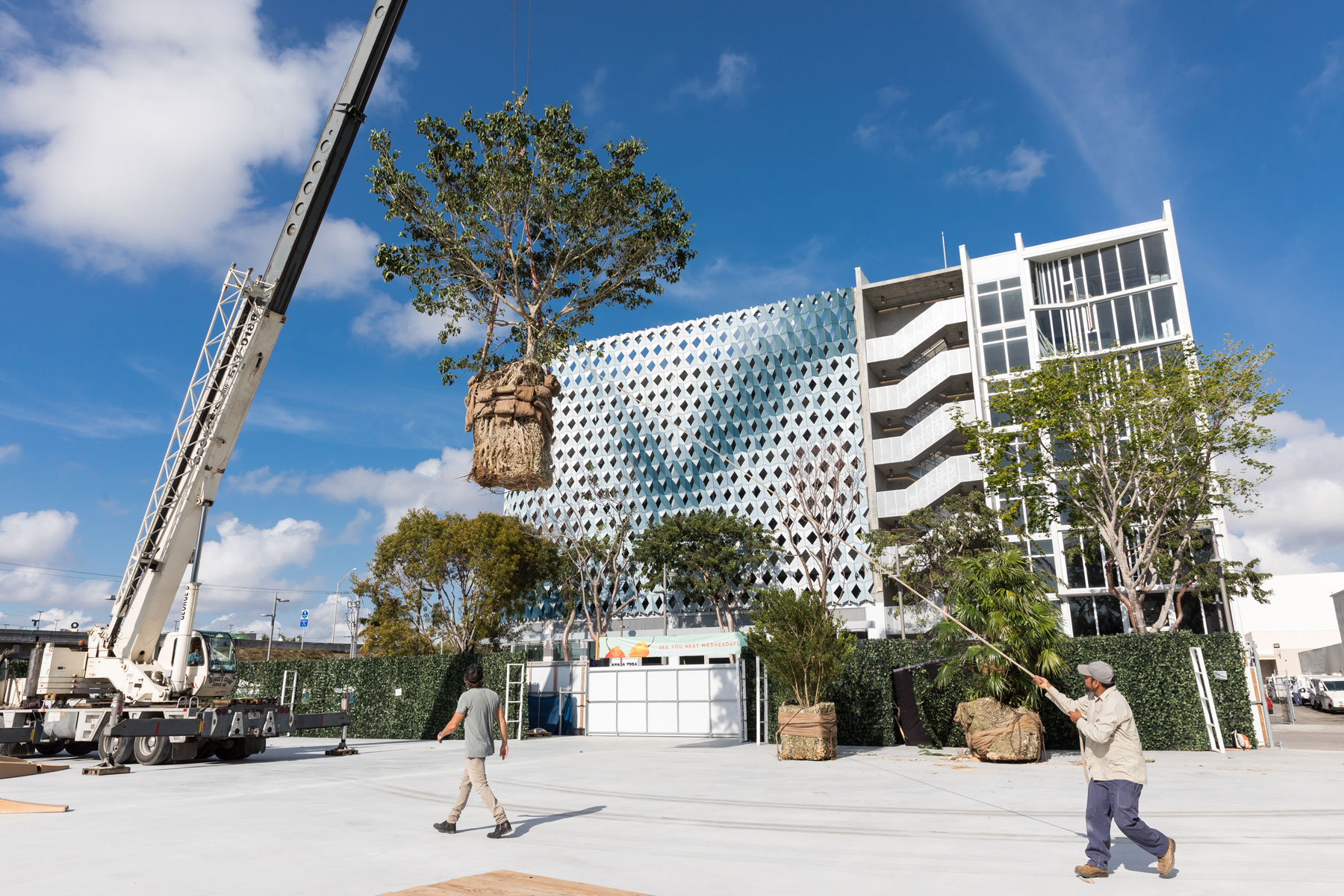 Jungle Plaza Miami Design District