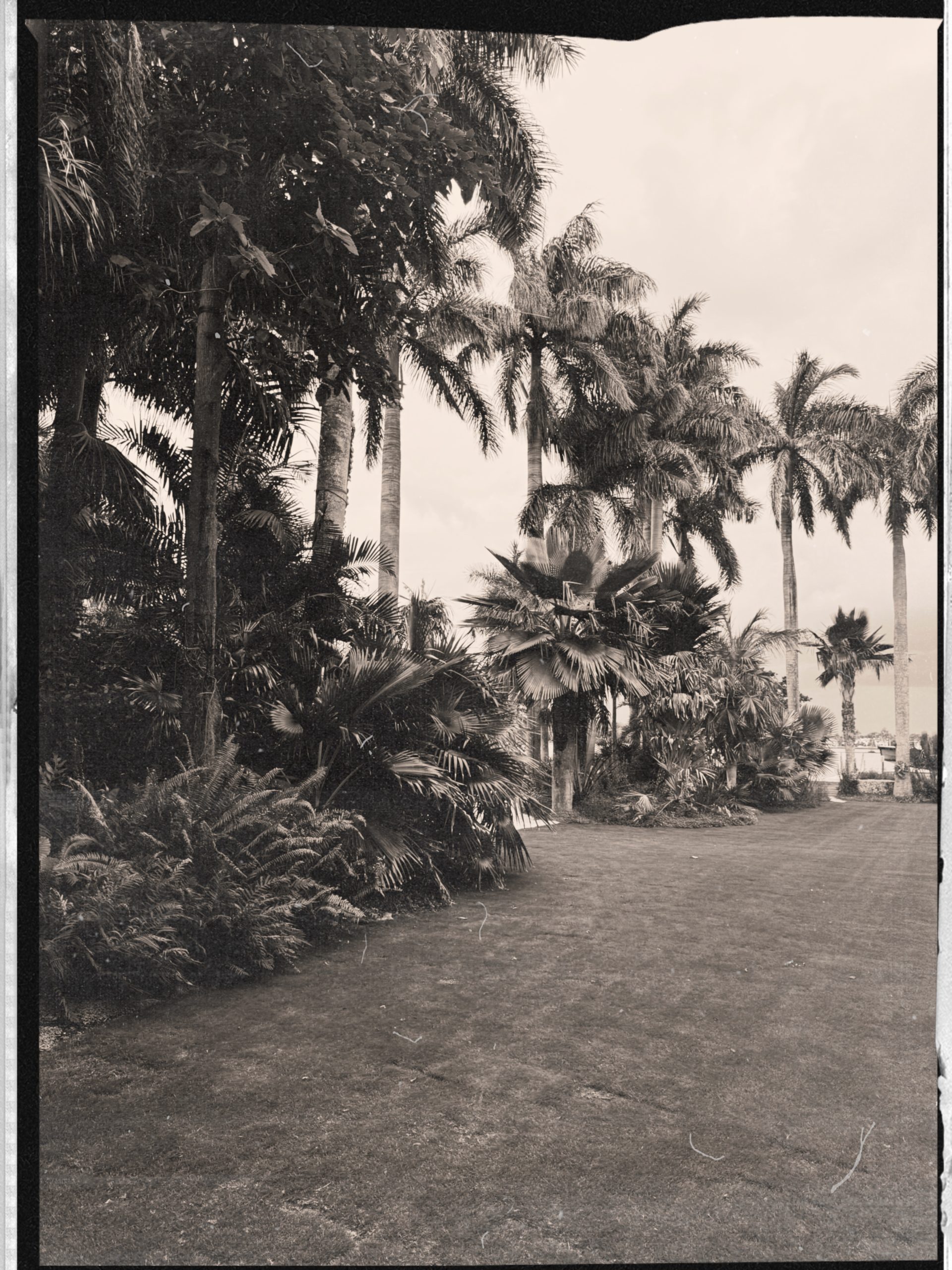 Palm Beach Historic Estate