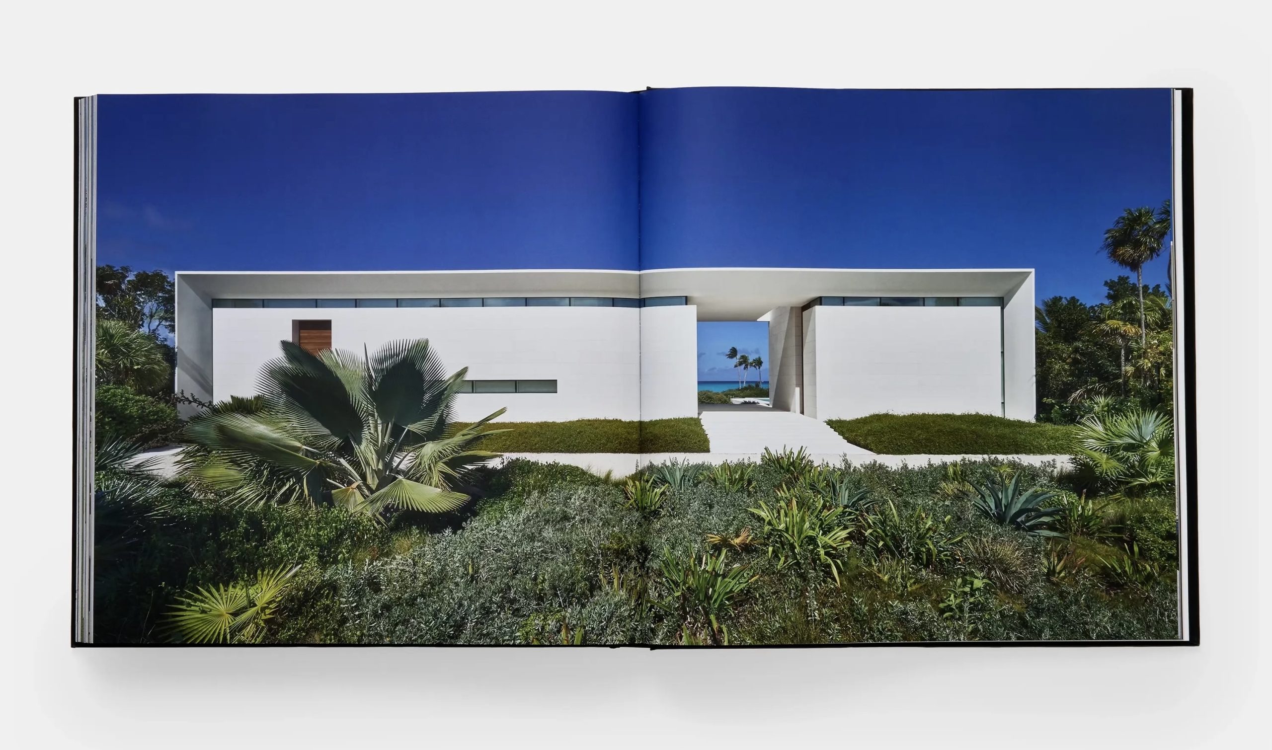 Caribbean Estate