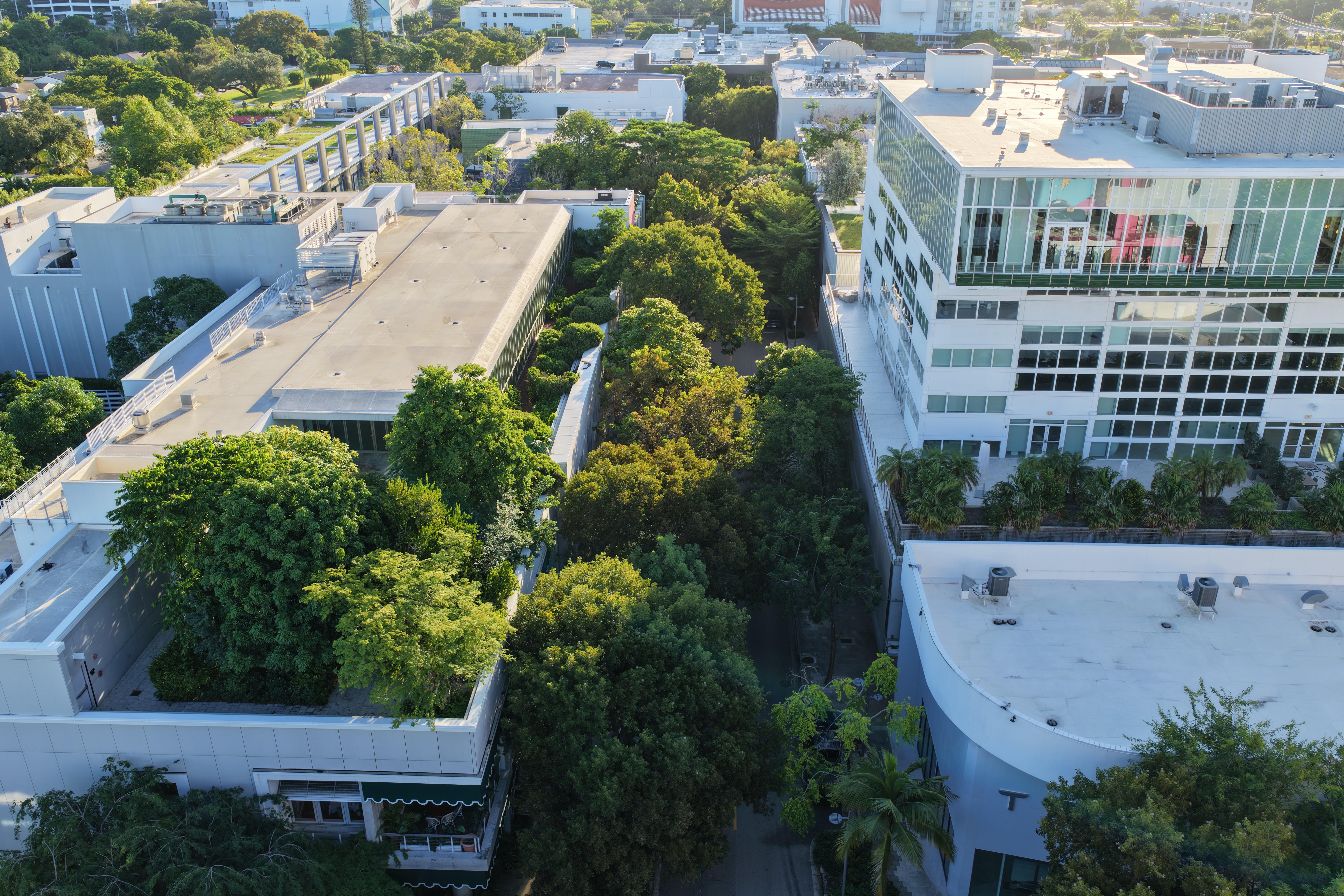 Miami Design District Landscape Masterplan