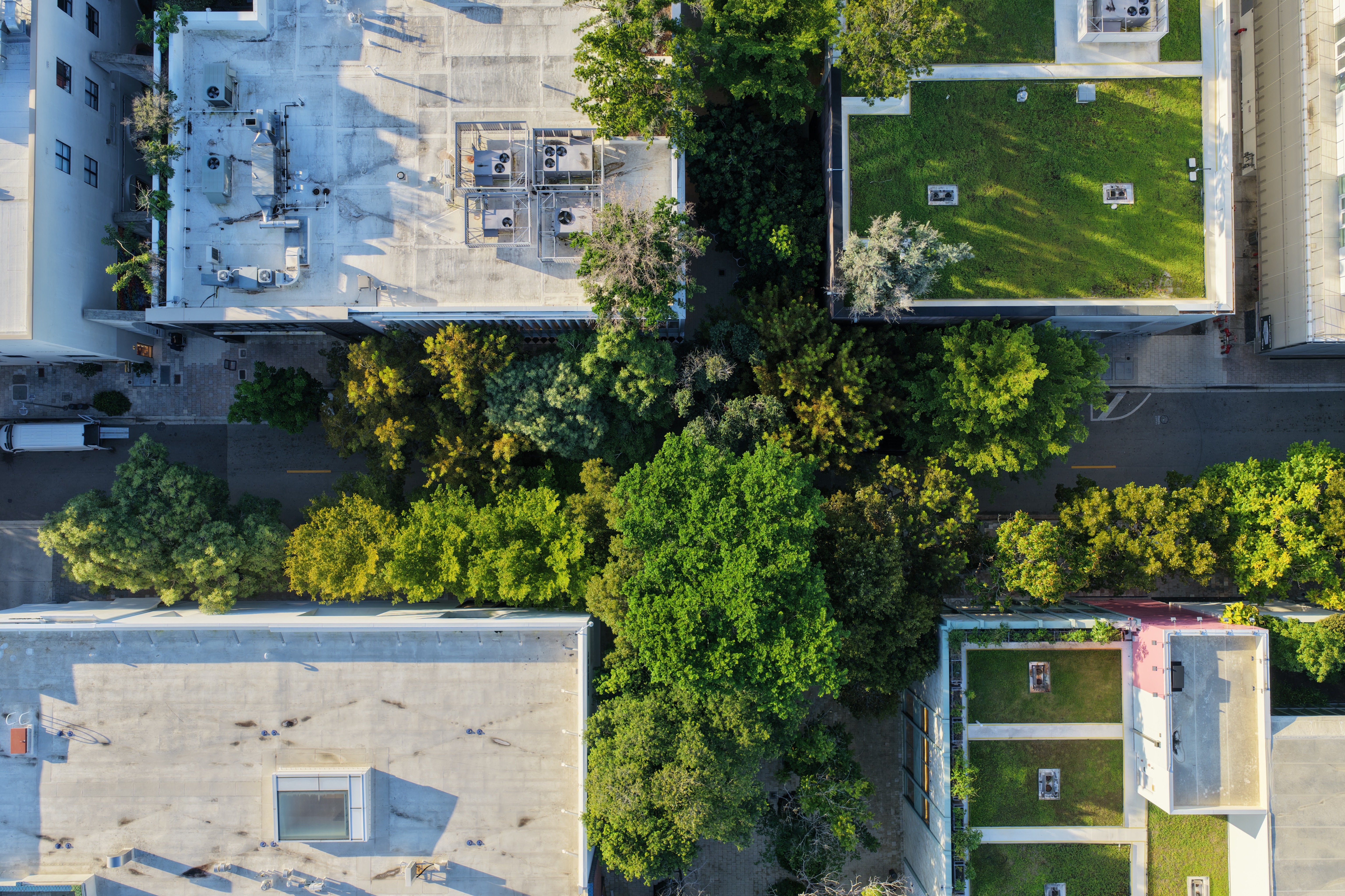 Miami Design District Landscape Masterplan