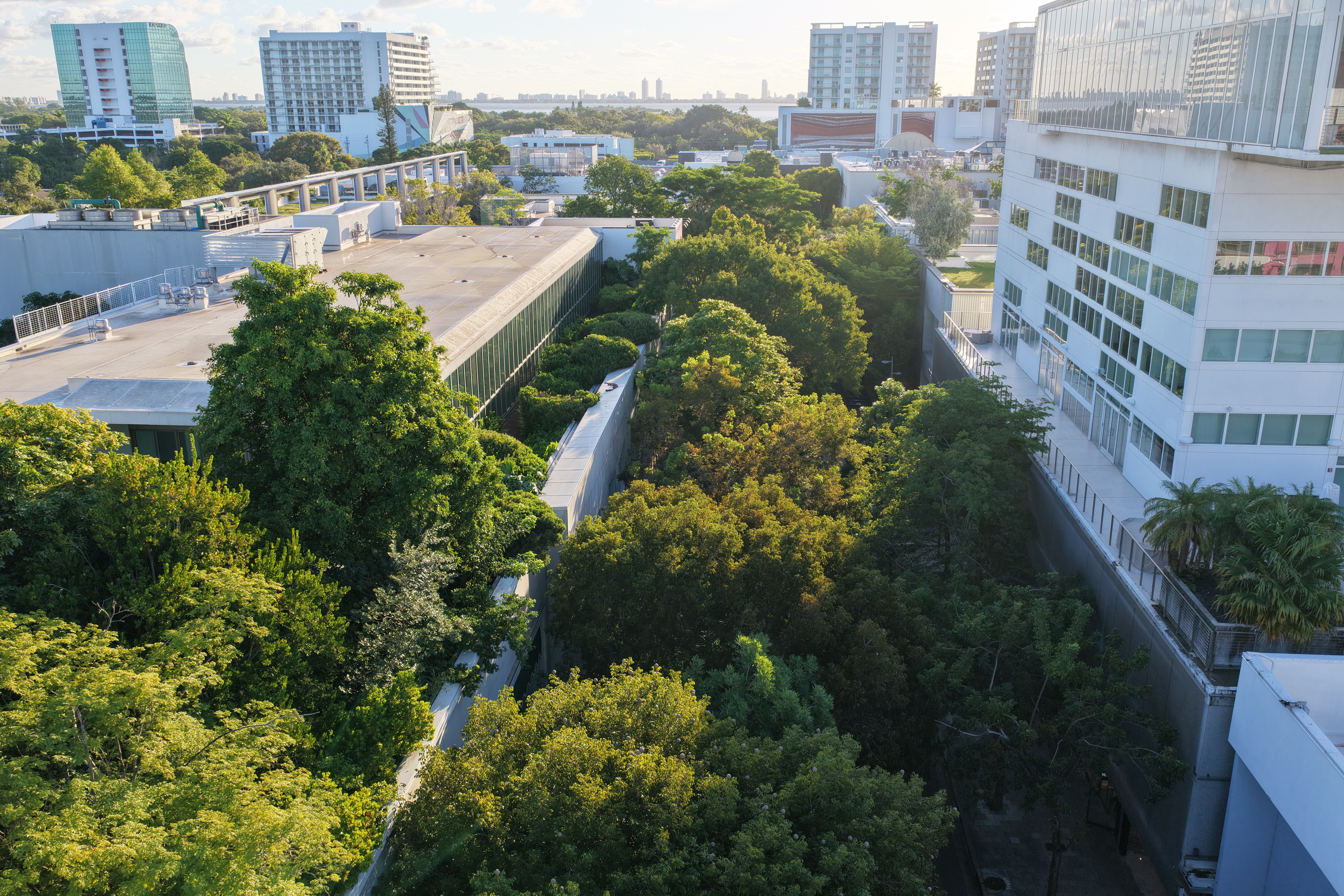 Miami Design District Landscape Masterplan