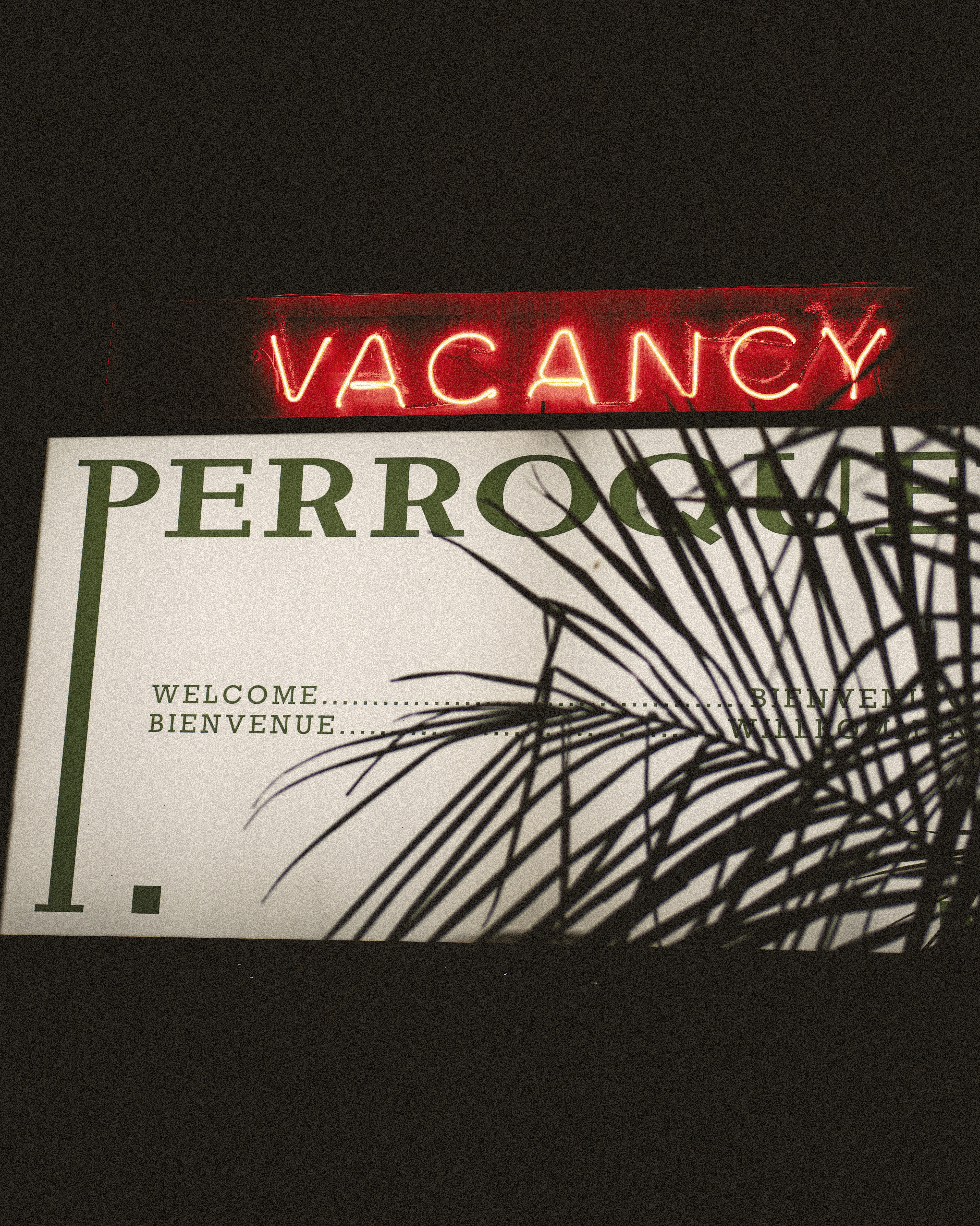 Perroquet