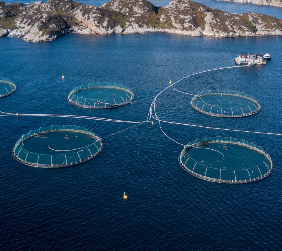 Salmon-Farming-hero-mobile.jpg