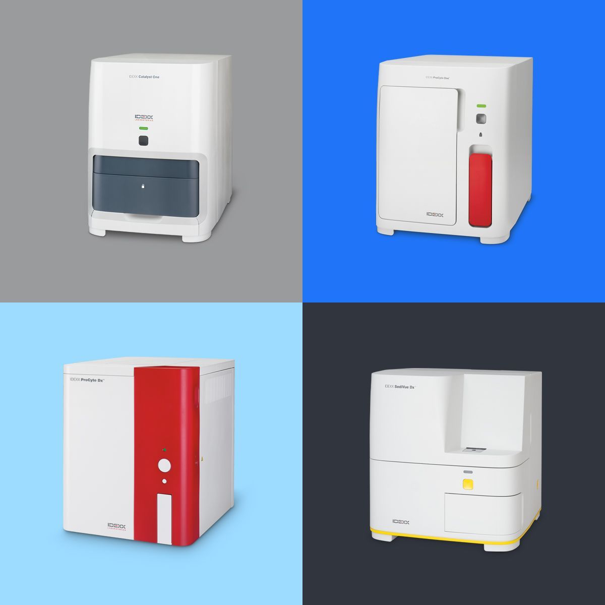 image 1.png