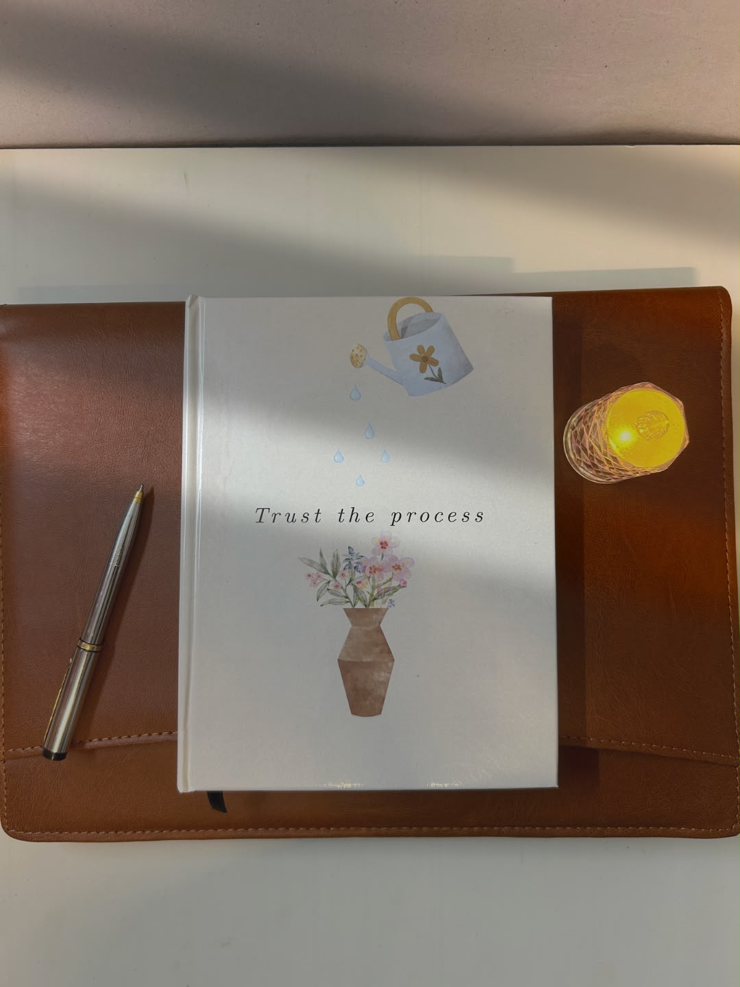 Trust the process Journal alternate view